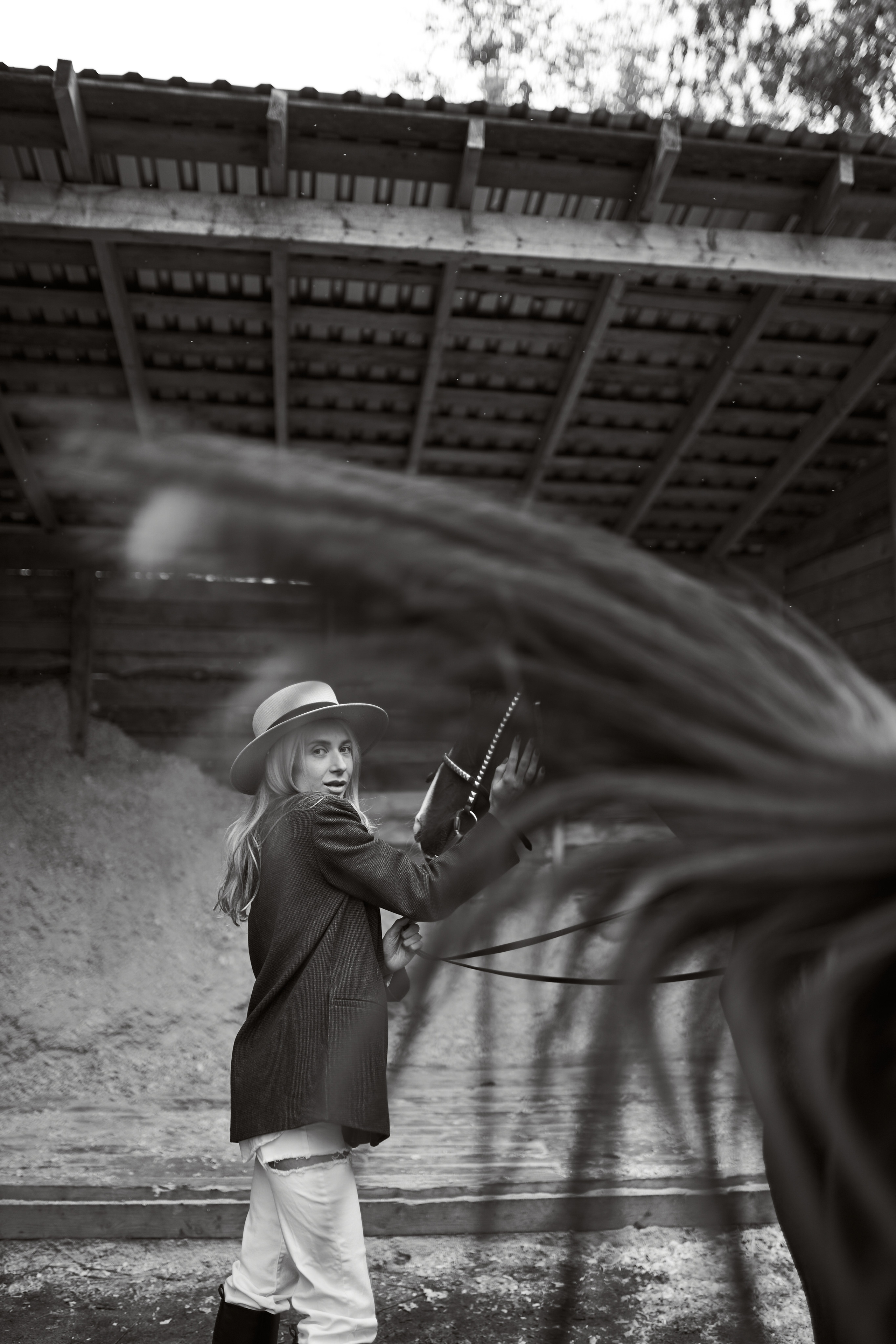 Фотосессии с лошадьми в Москве, Новосибирске