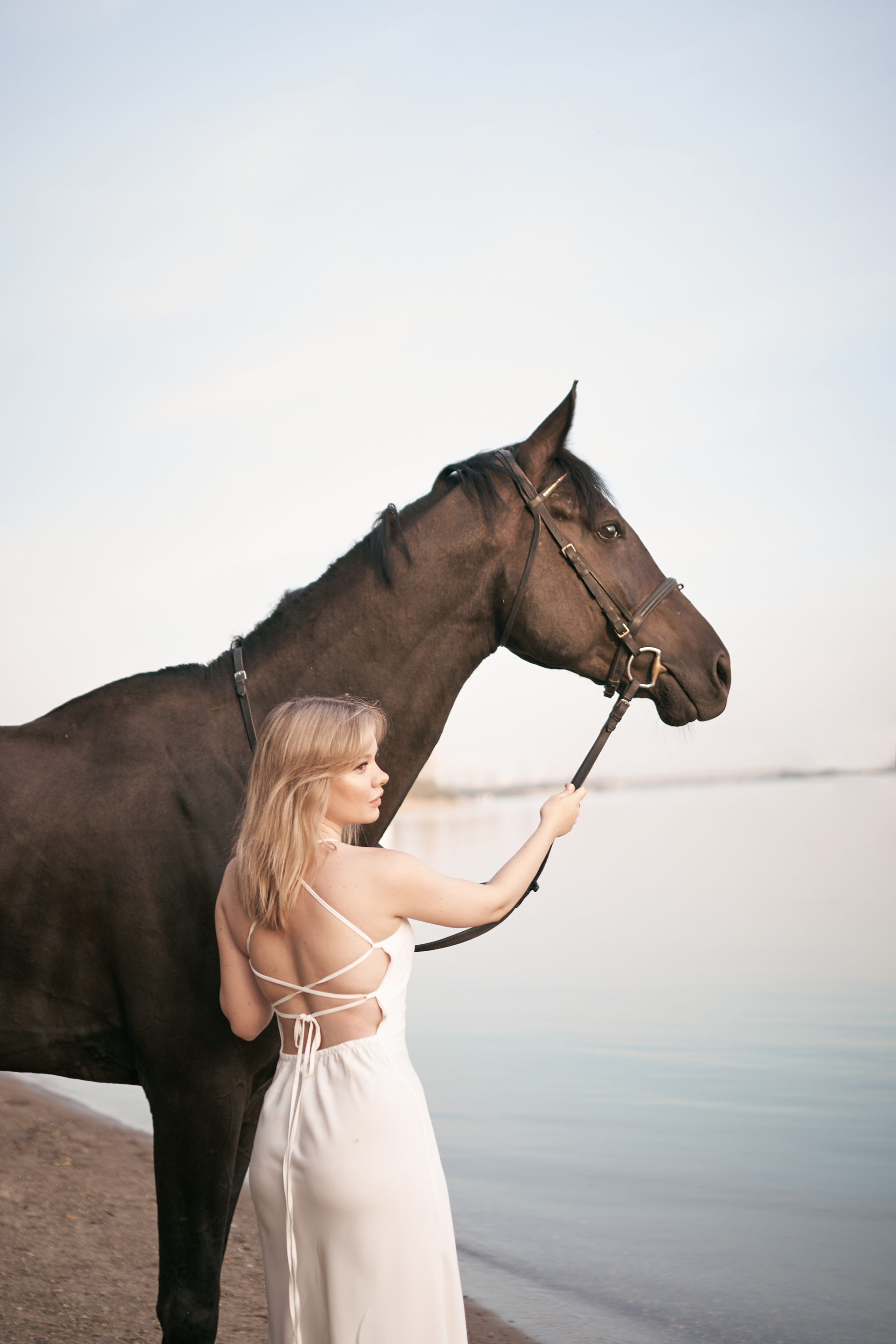 Фотосессии с лошадьми в Москве, Новосибирске