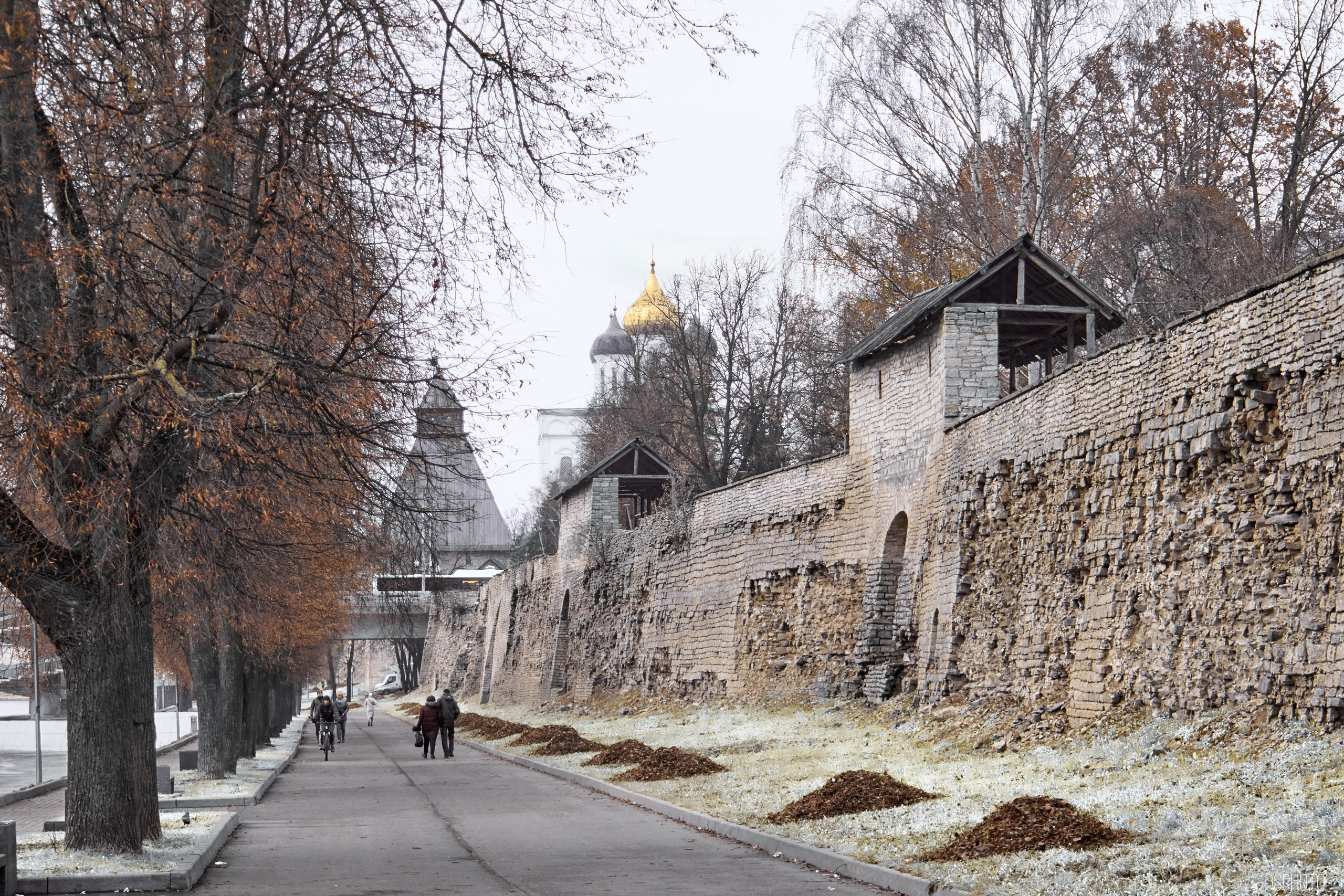 Псков. Ноябрь. Фотографъ Сергѣевъ. Поймать мгновеніе