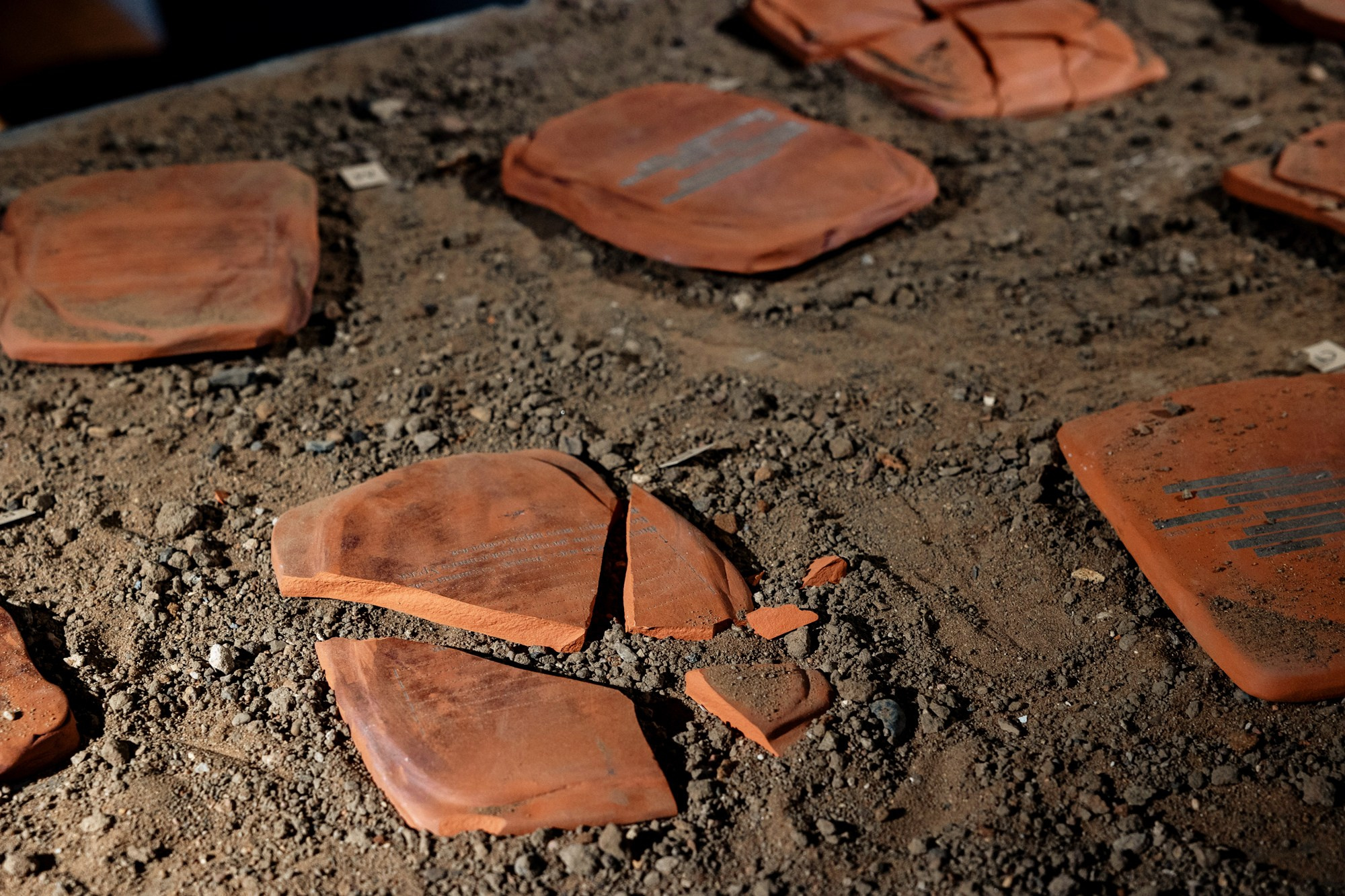 2025 He Who Sees The Unknown. Alya Segova