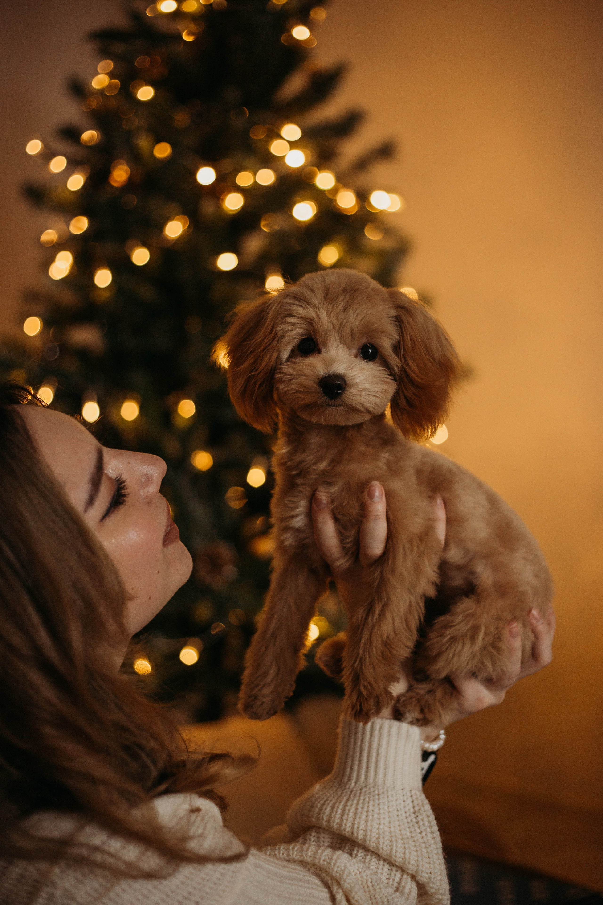Портфолио семейного фотографа. Семейный и детский фотограф в Москве Зарудняя Дария