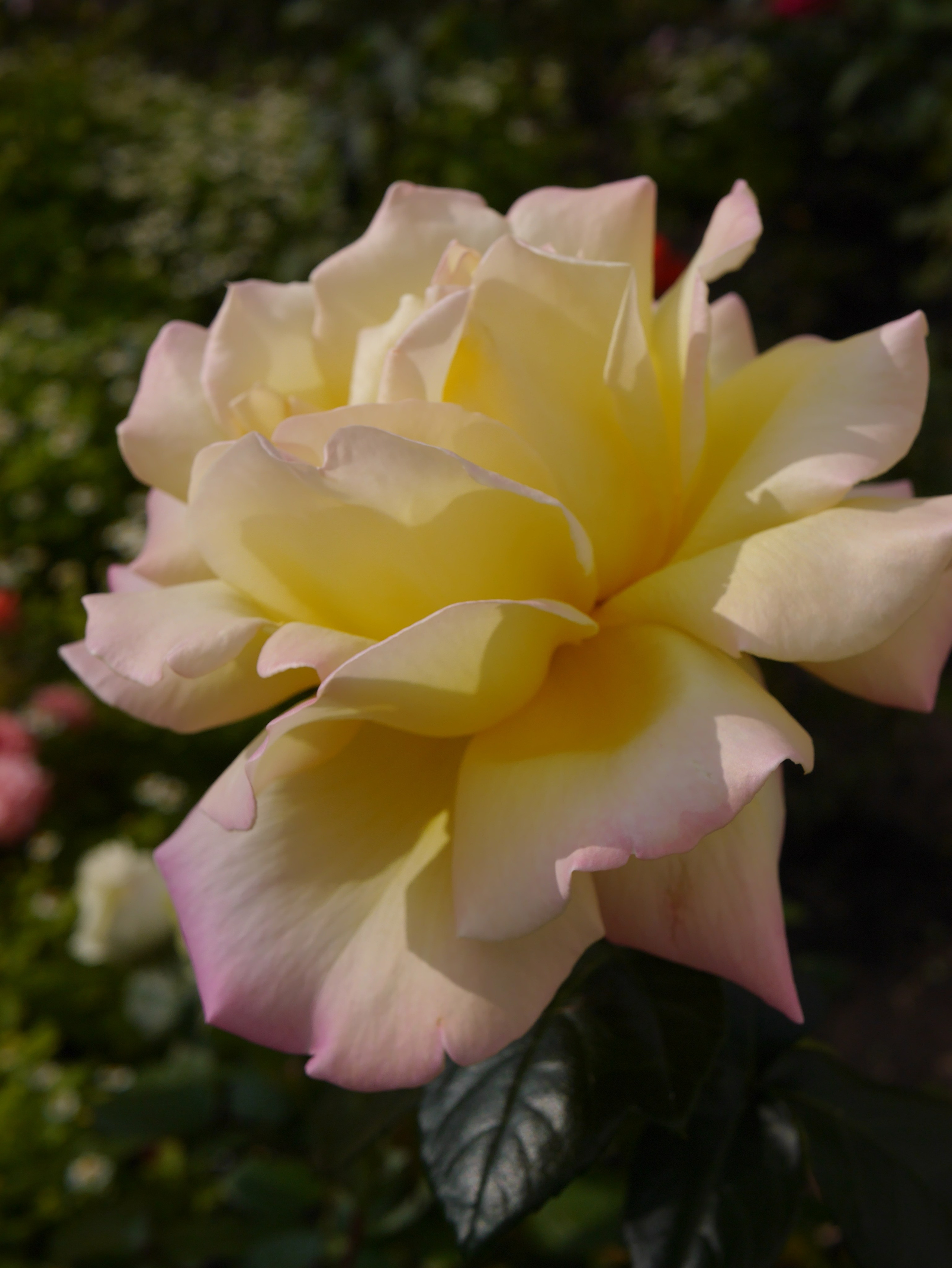 Вся красота мира в одной картинке