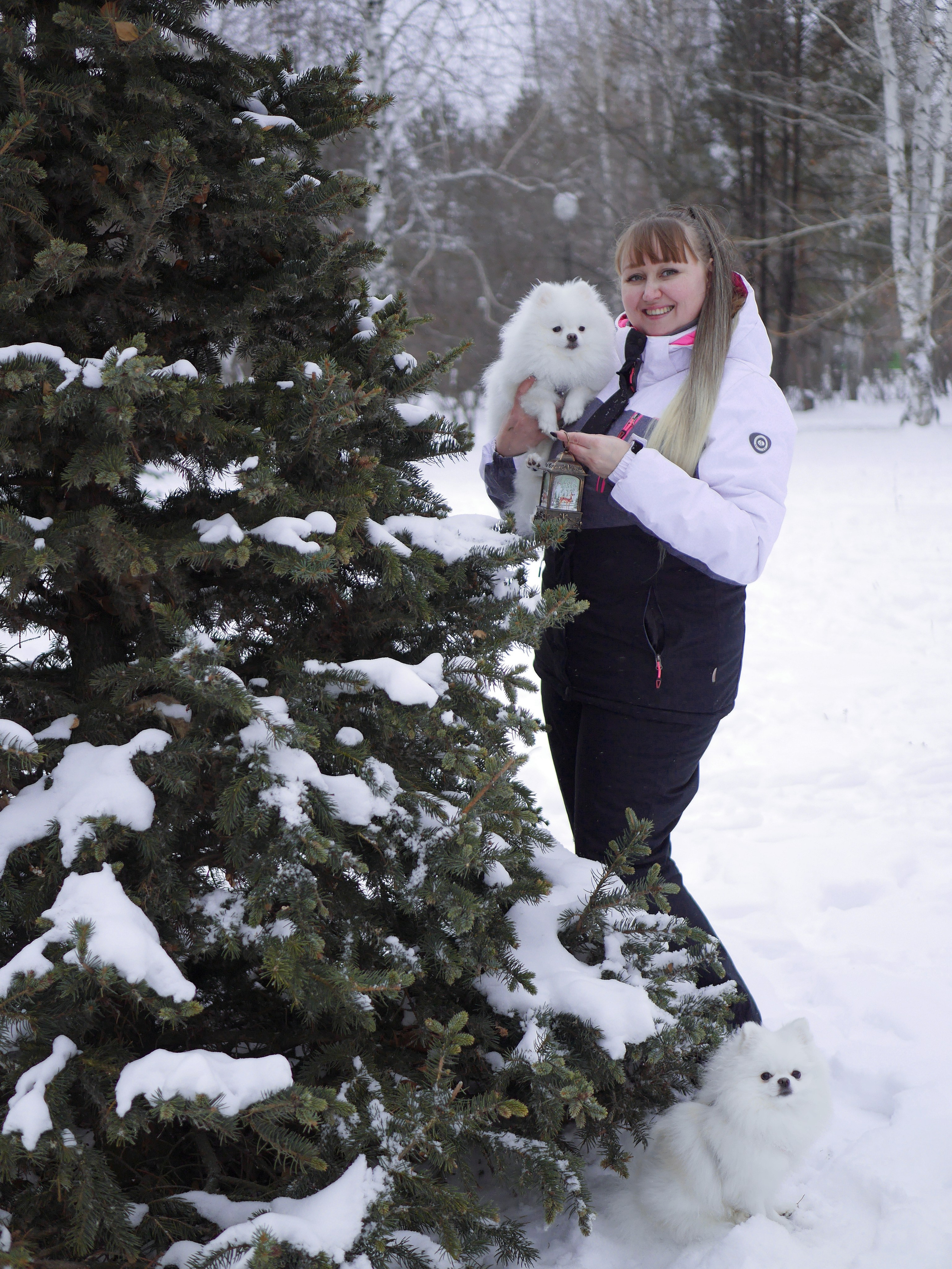 Надежда и шпицы