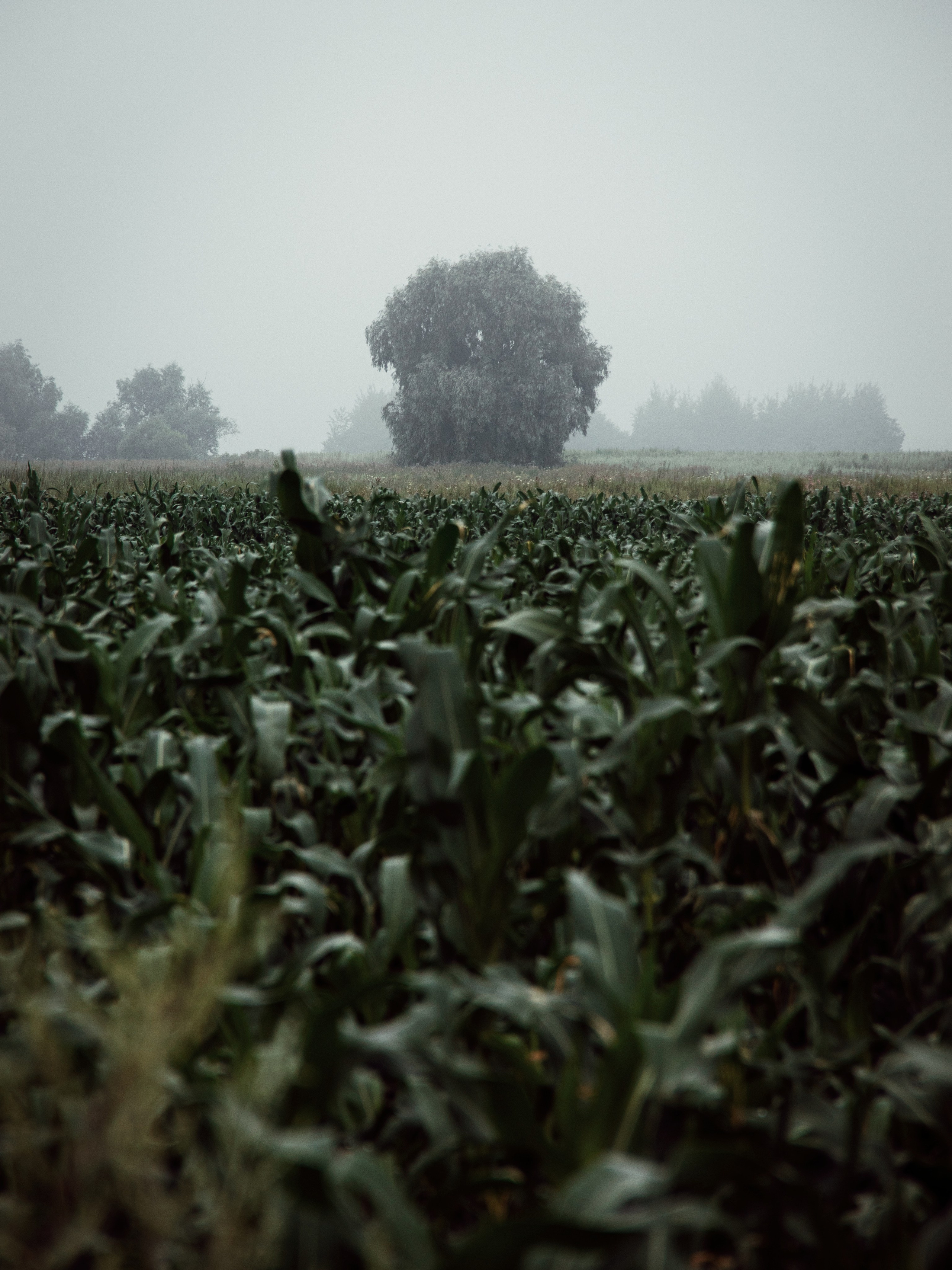 Застывшая утренняя тишина. С любовью, фотохудожник