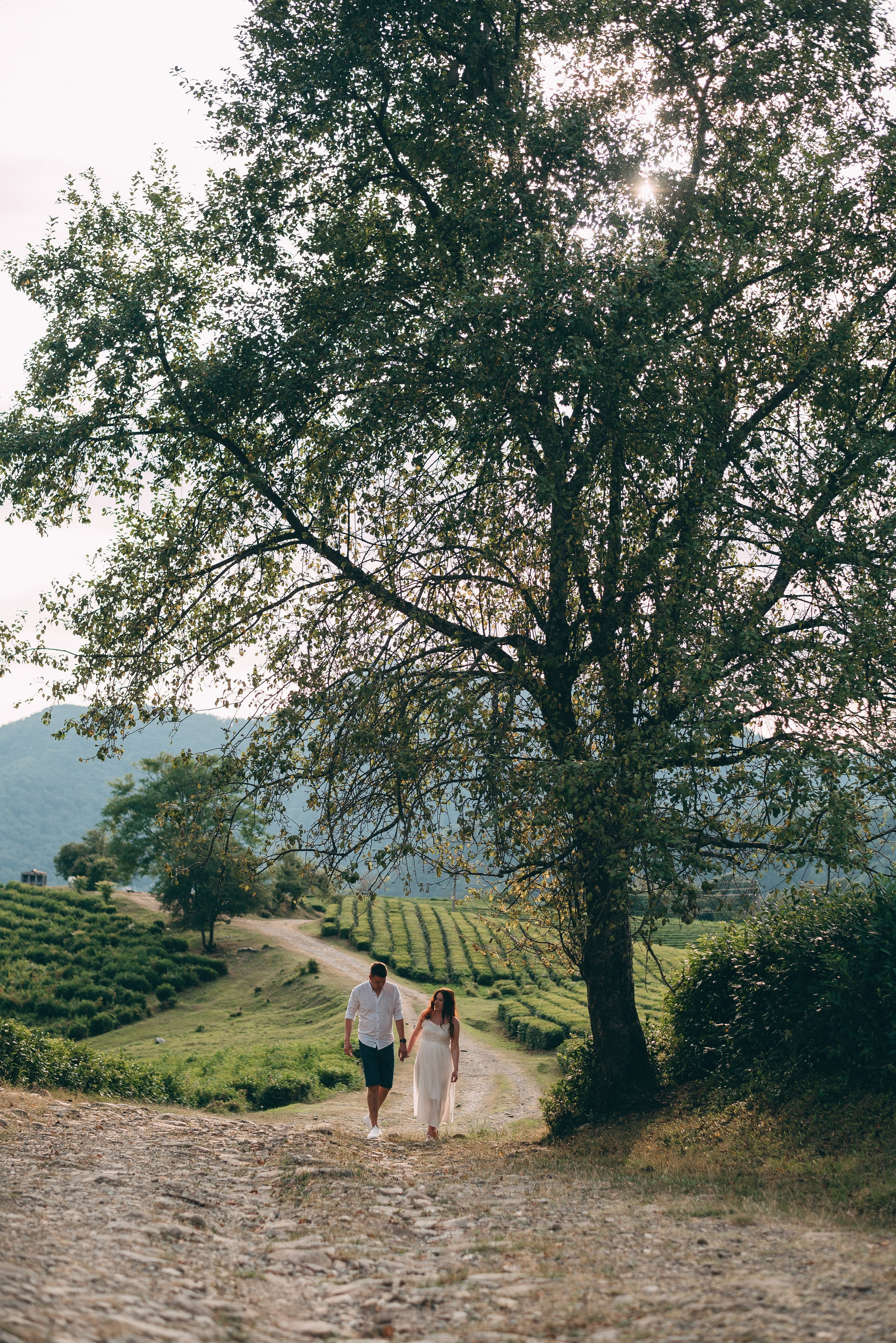 Семейная фотосессия на чайных плантациях в Сочи. Фотограф в Сочи — Маргарита Поганова