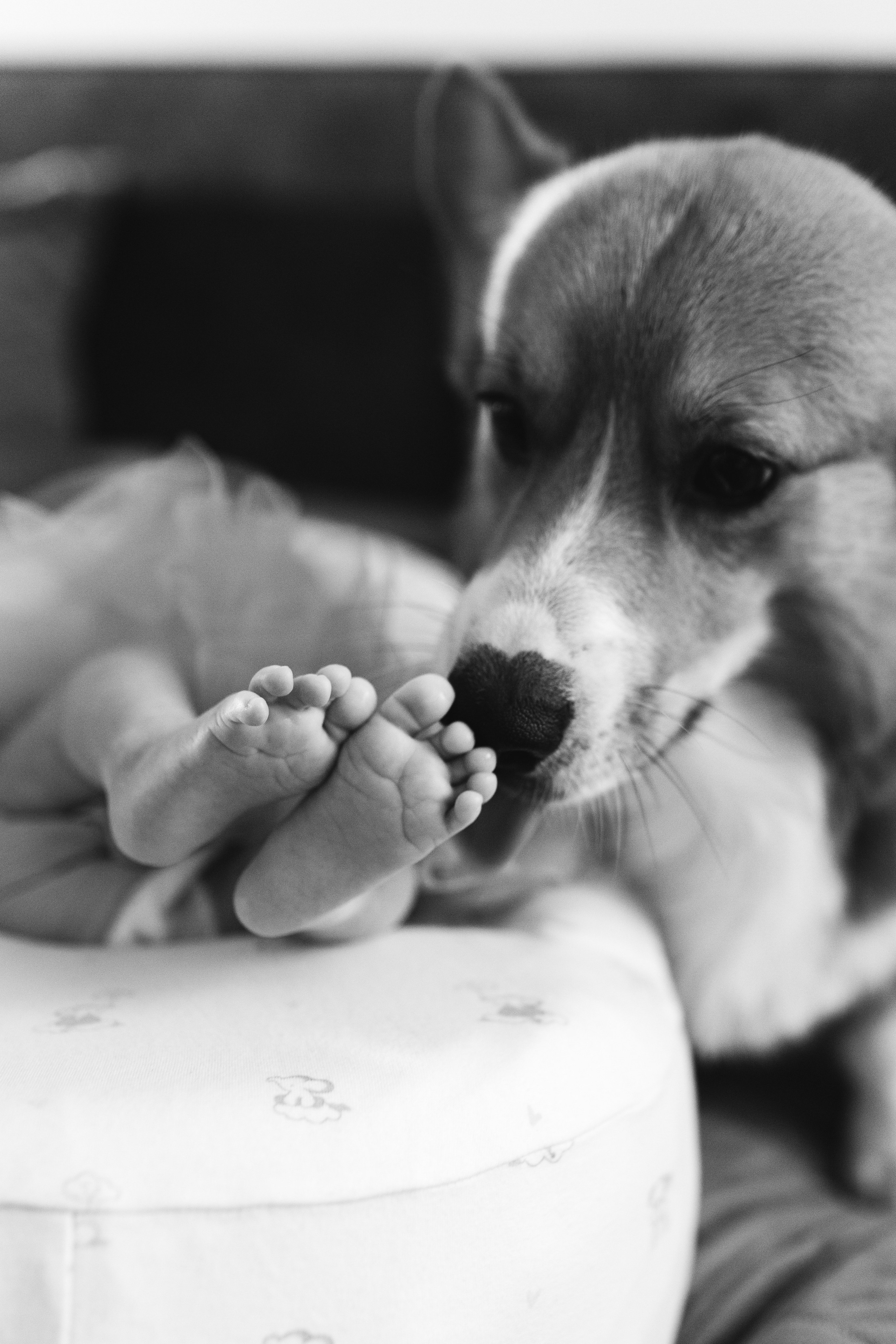 Фотограф в Нижнем Новгороде Лебедева Елена