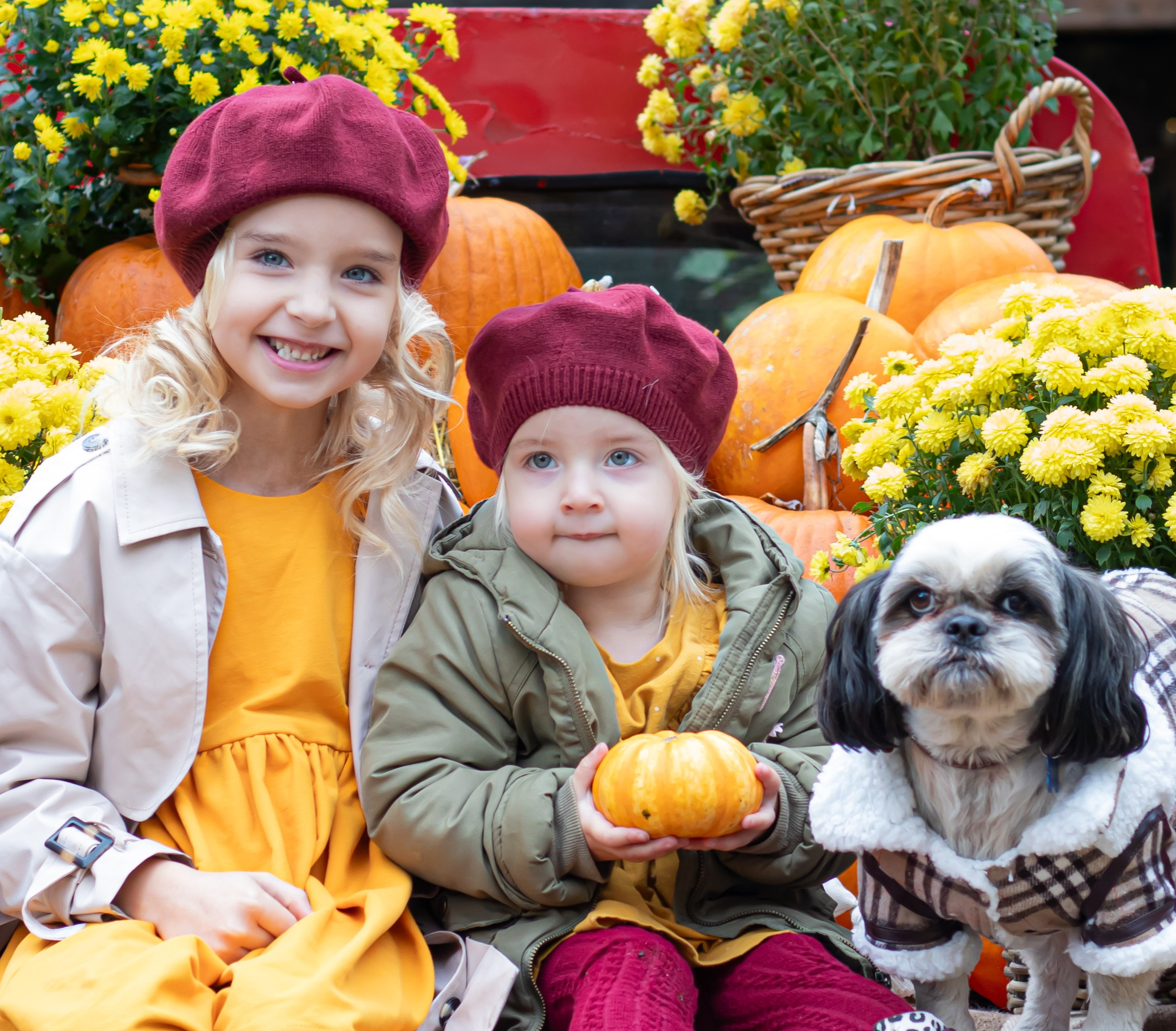 Две сестры в ярких образах среди тыкв и хризантем, осенняя съёмка, фотограф Карасёва Елена