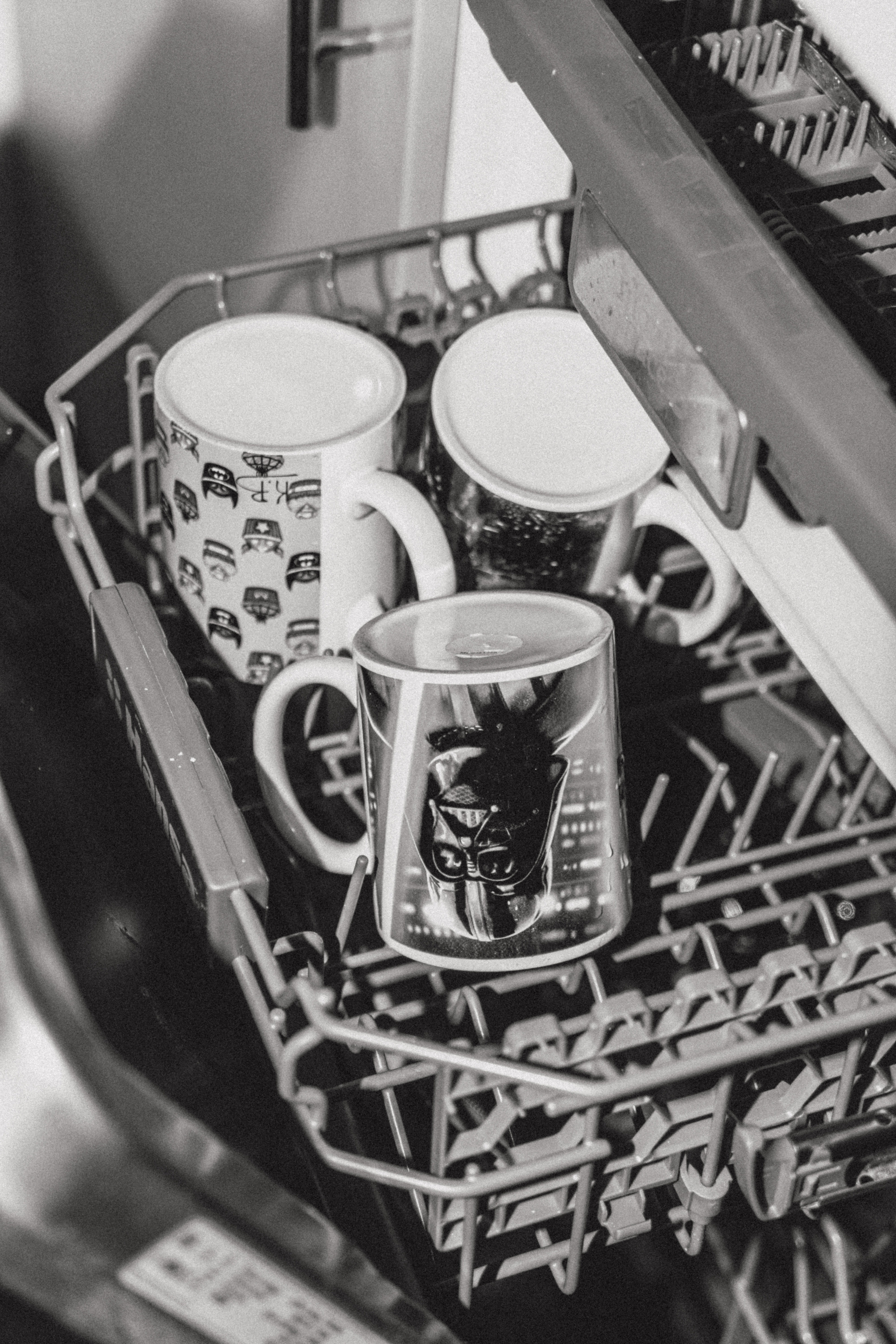 Рабочий цикл. Козлова Екатерина. Междисциплинарная визуальная художница