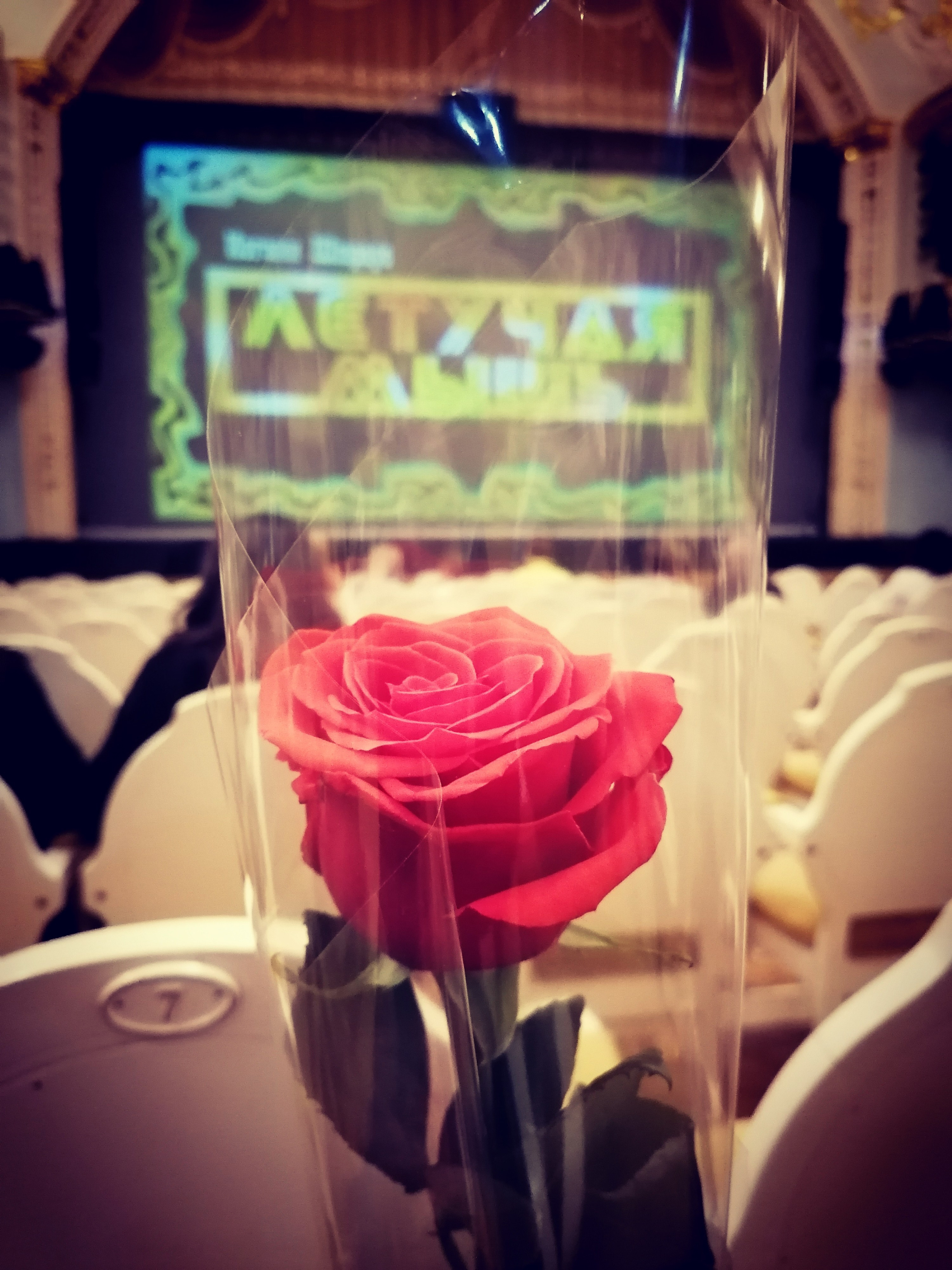 Обо мне. Денис Хрюкин, режиссёр, продюсер, контентмейкер, Санкт-Петербург, Москва