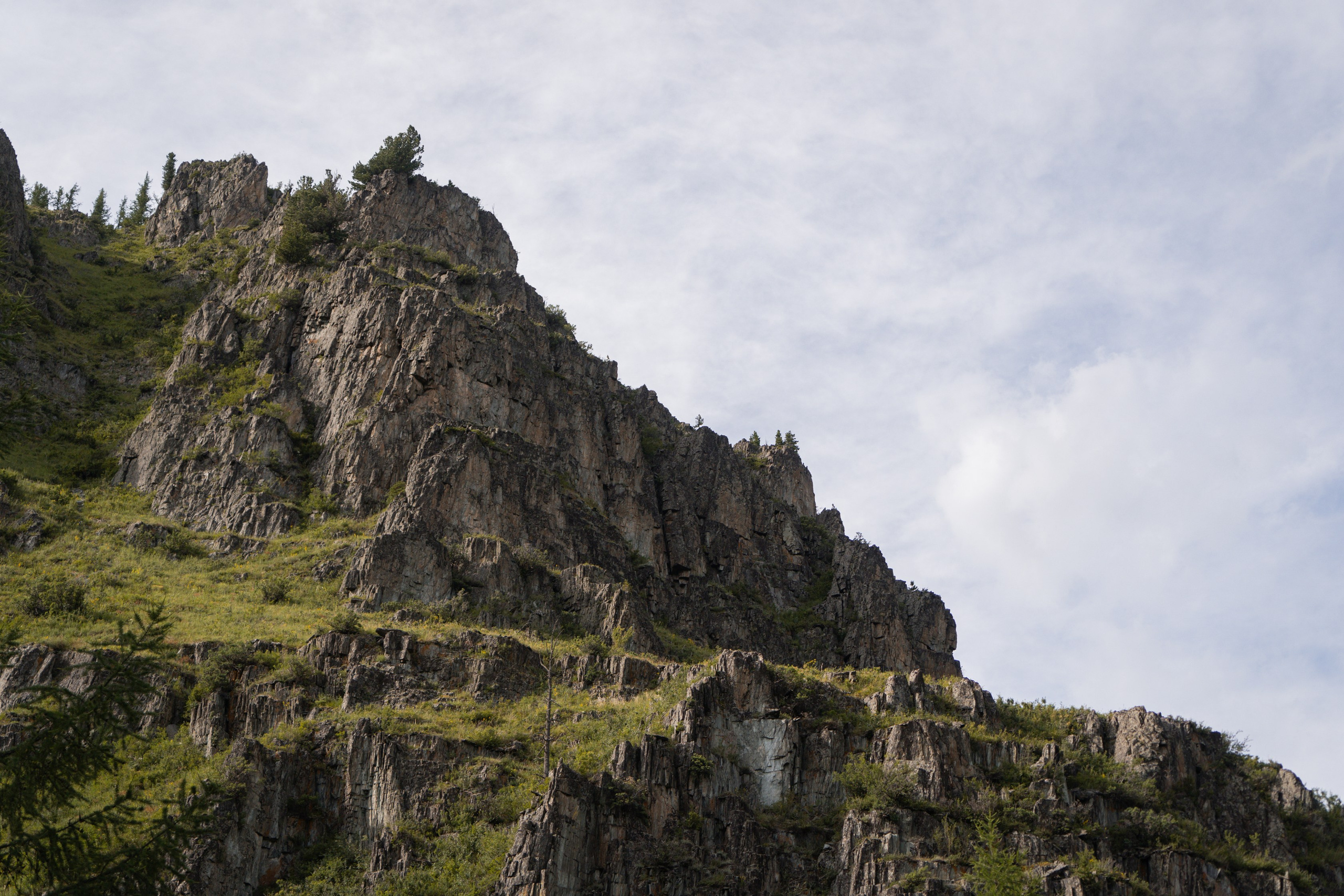 Алтай 2025. Лиза Фирстова