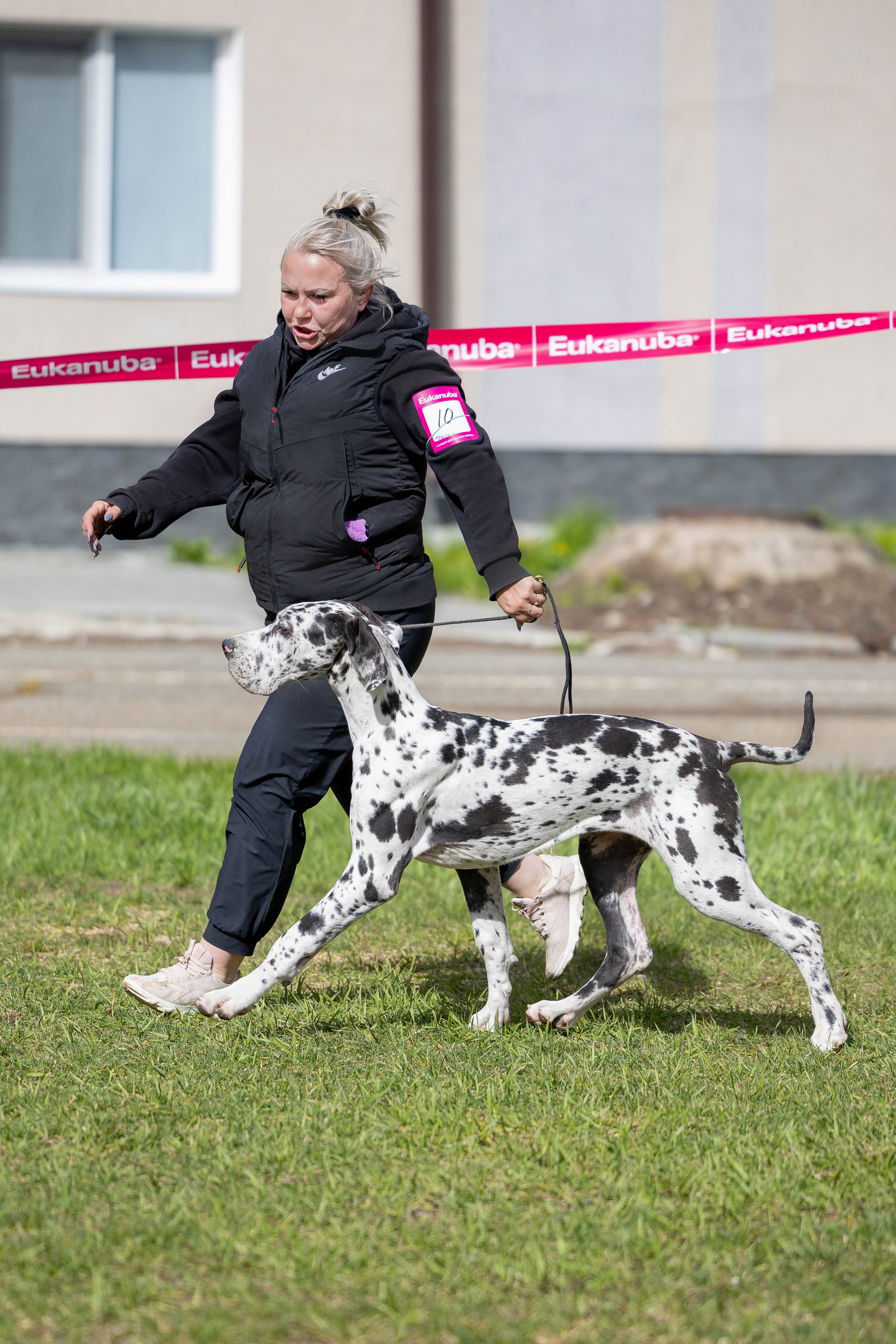 Фотограф Анималист в Перми Анастасия Остерман