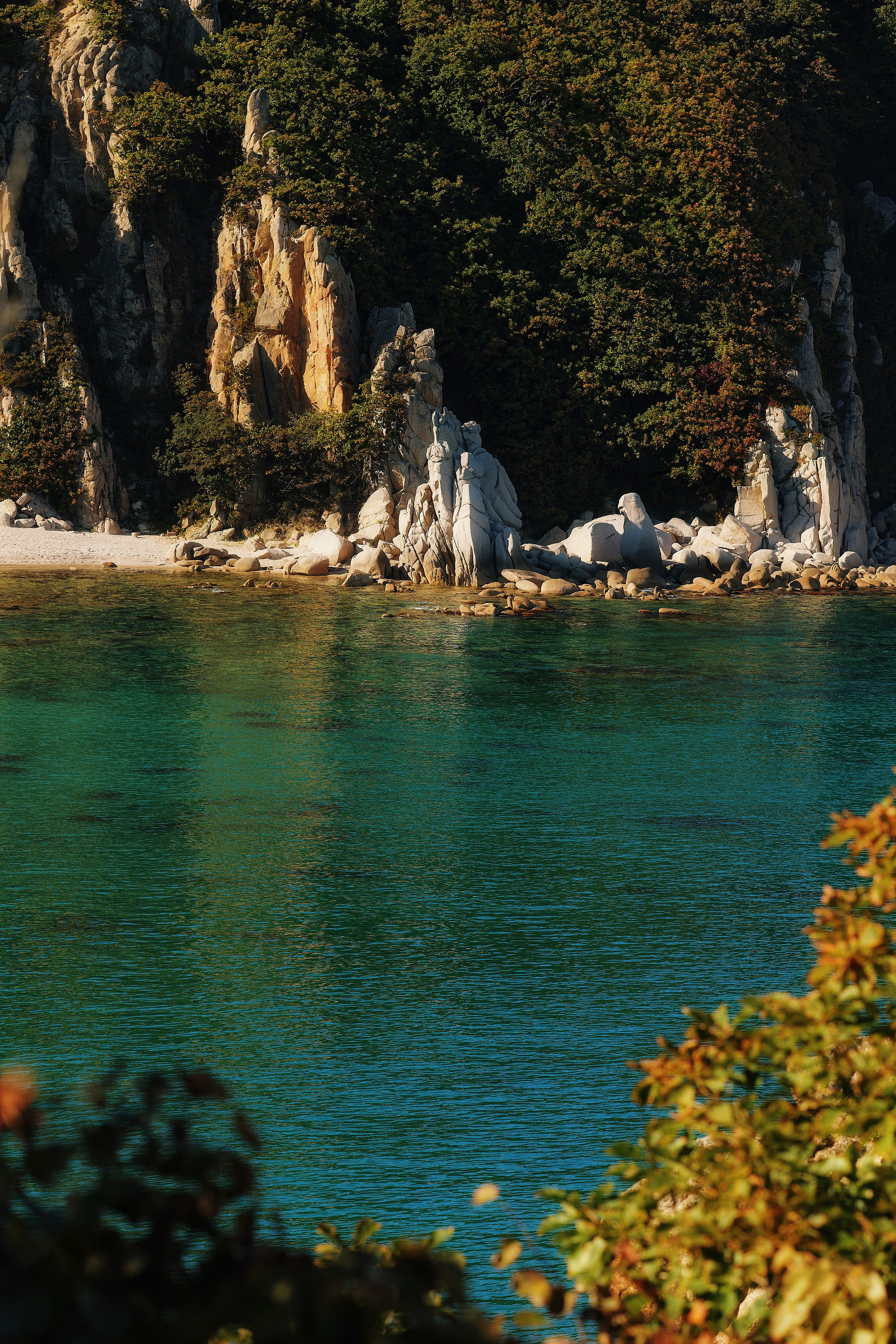 Осеннее море в бухте Ежовой. Приморский край, 2024 год