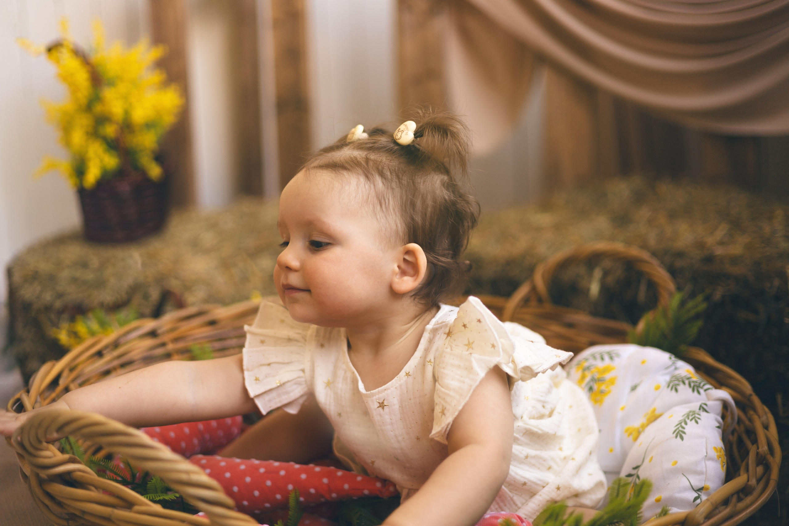 Мира и утята