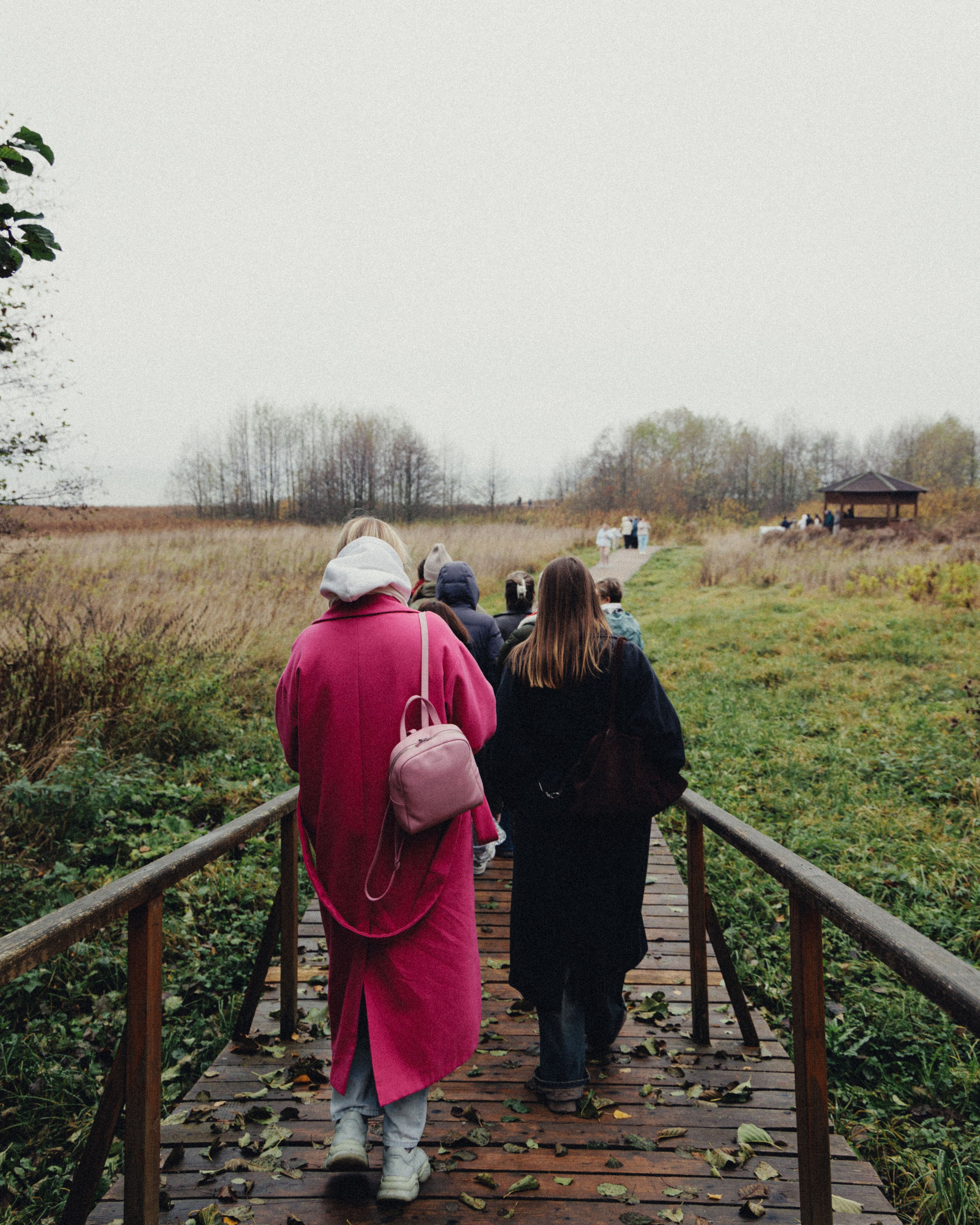 О том, как мы исследовали земли Залесские. Главная