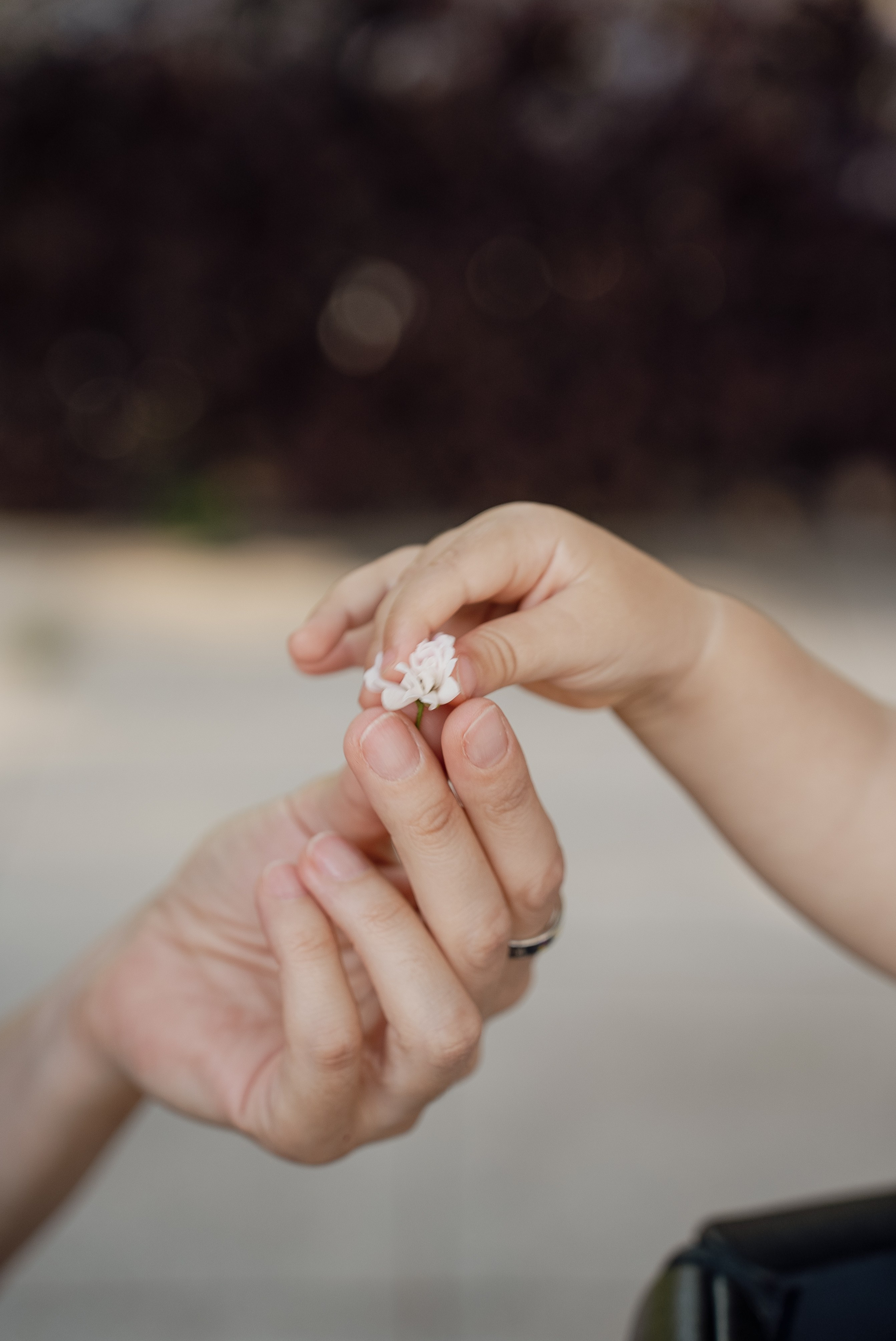 #солнечный день #лето #тепло #погода #солнце #летонаплёнке. Видеограф / Фотограф  — Яна Спащанская