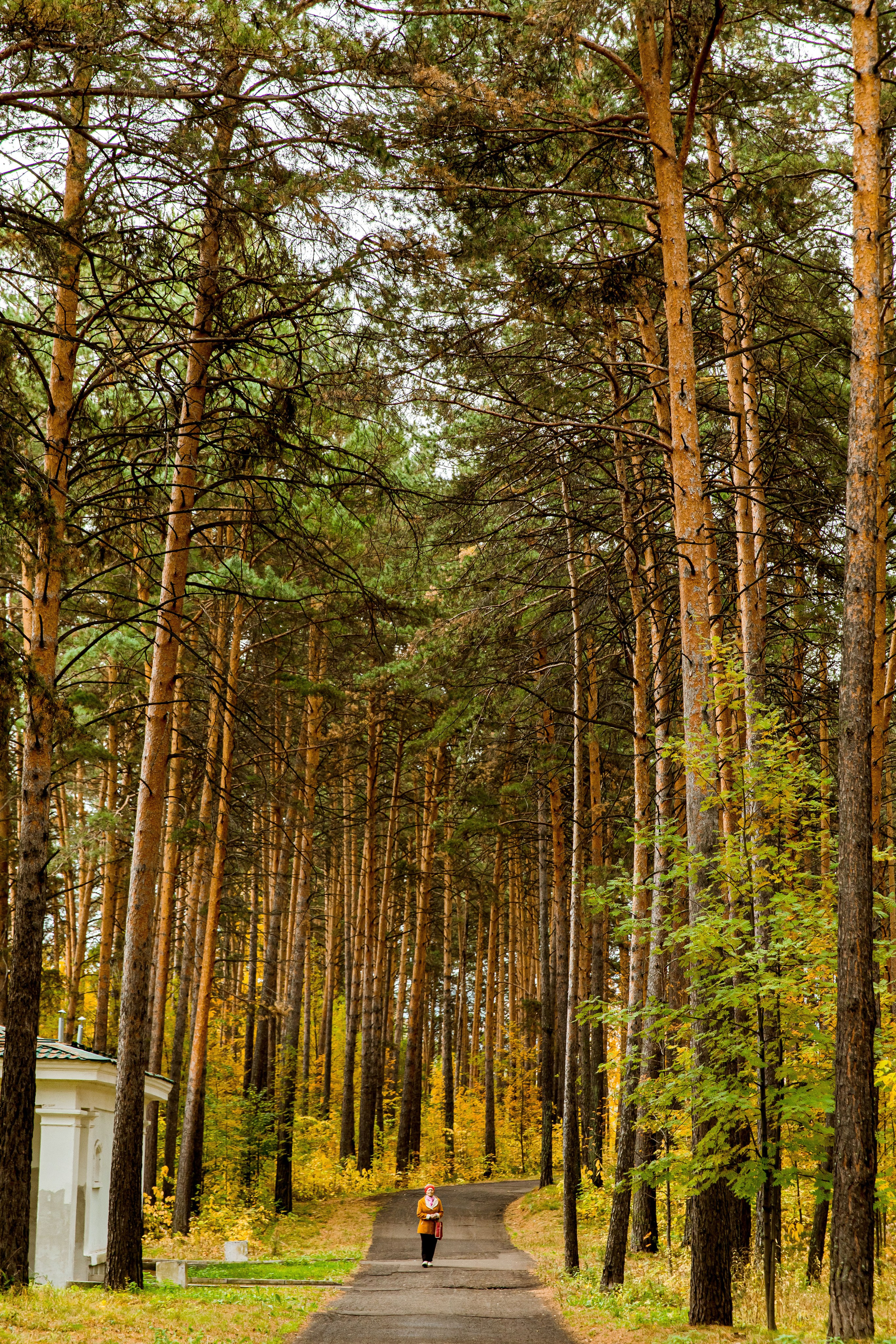 Осень в парке. Семейный и детский фотограф в Железногорске Саламахо Ольга