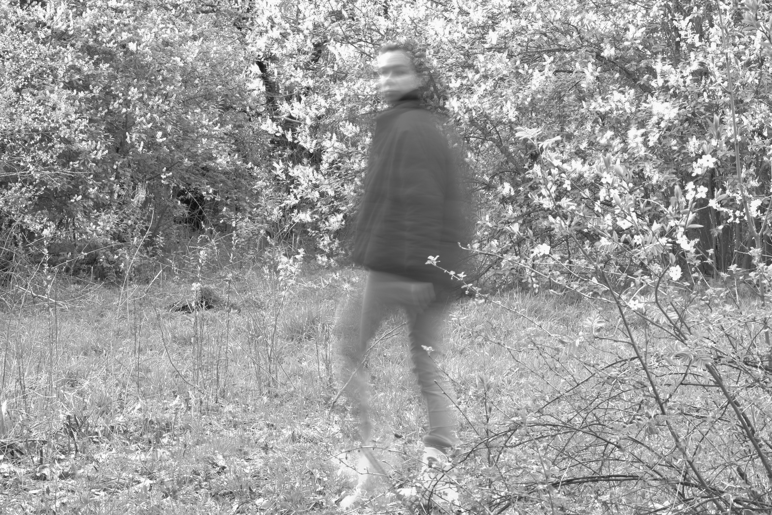 Волны. Главная