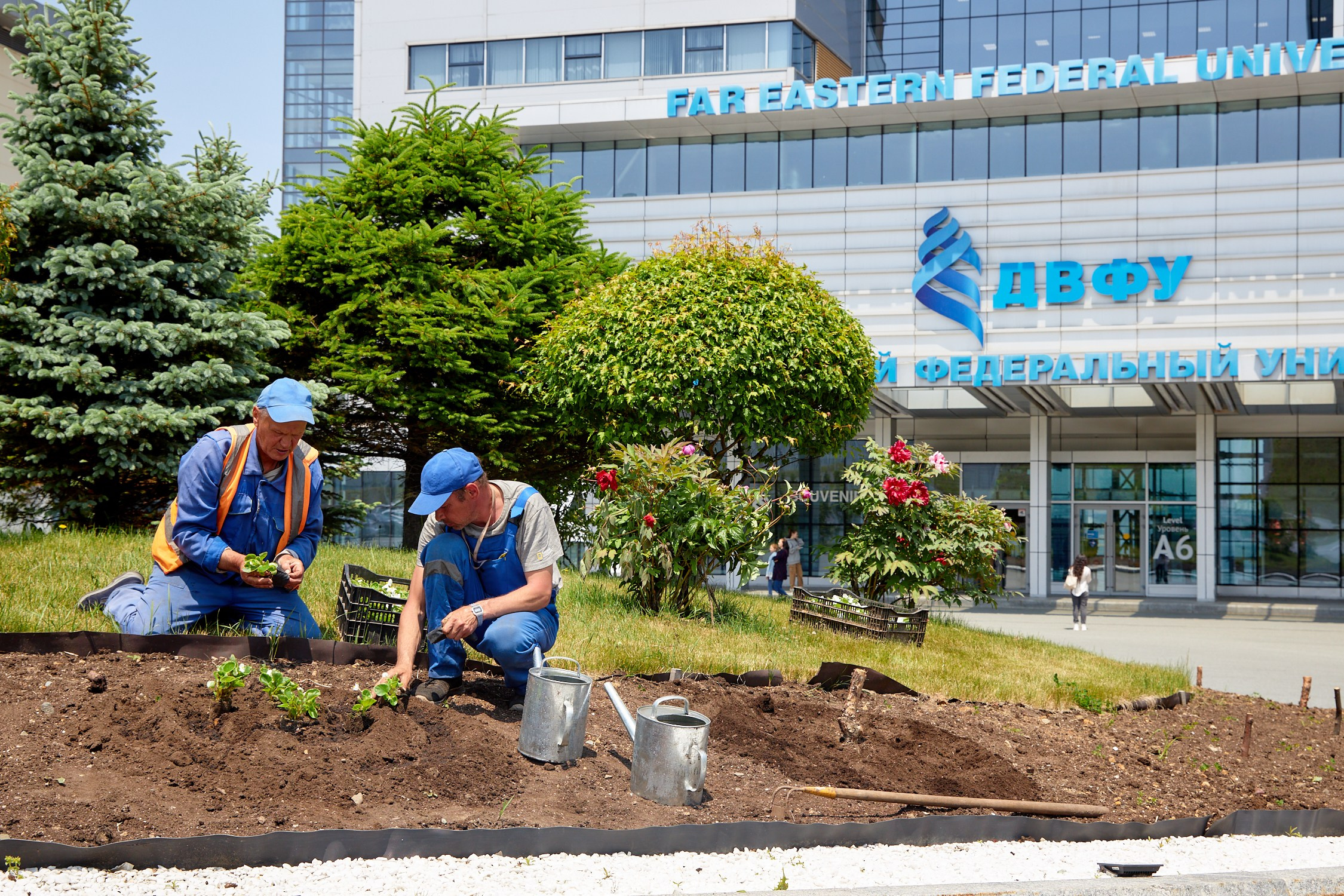 Репортажный фотограф Владивосток Анастасия Сокольникова