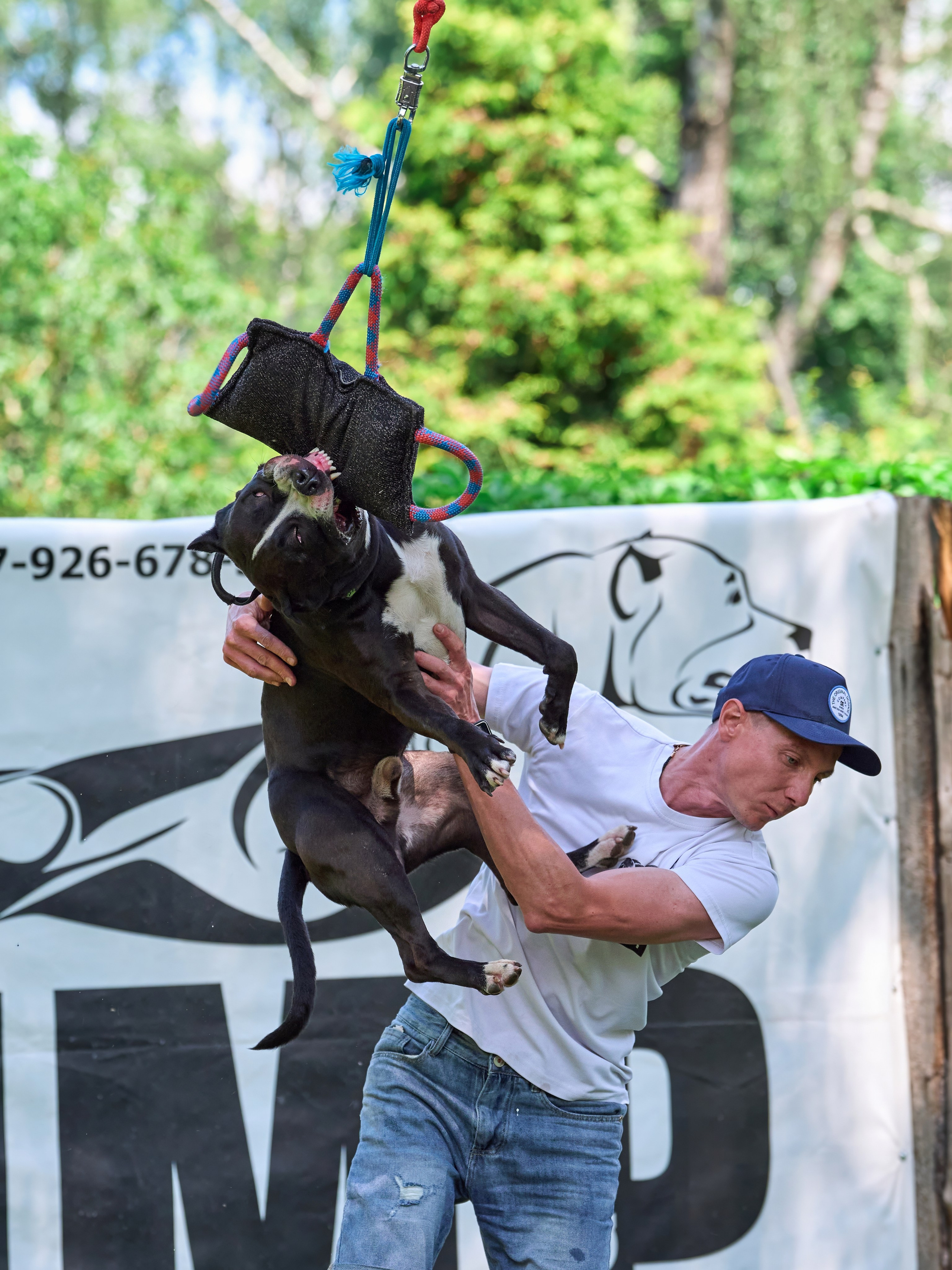 Двухдневные соревнования «Jump'n'Gym Fest — 2024». Фотограф-анималист Михаил Манухин