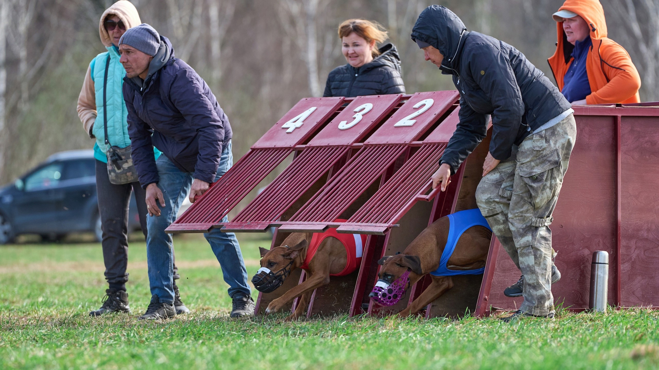Квалификация по рейсингу. Фотограф-анималист Михаил Манухин