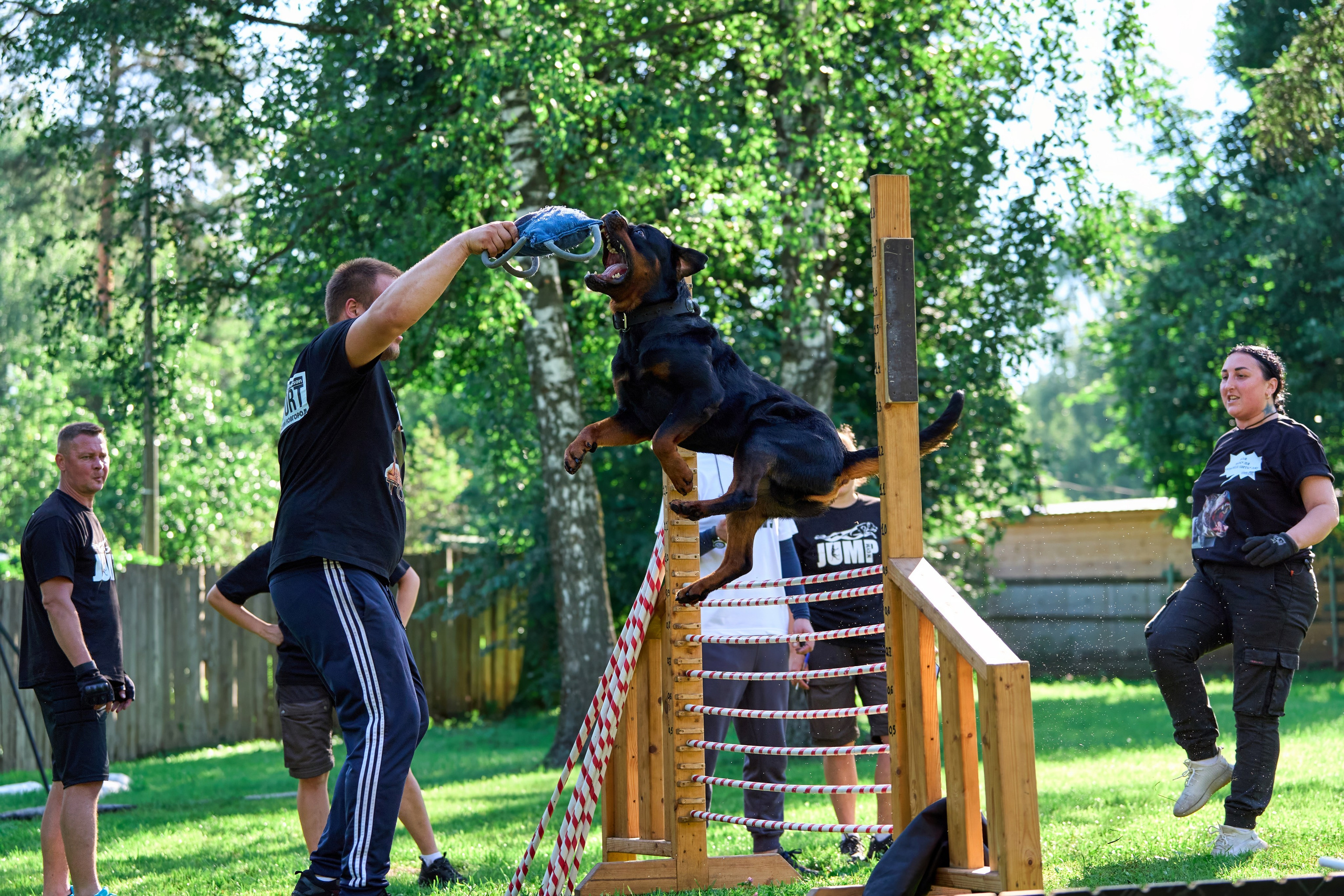 Двухдневные соревнования «Jump'n'Gym Fest — 2024». Фотограф-анималист Михаил Манухин