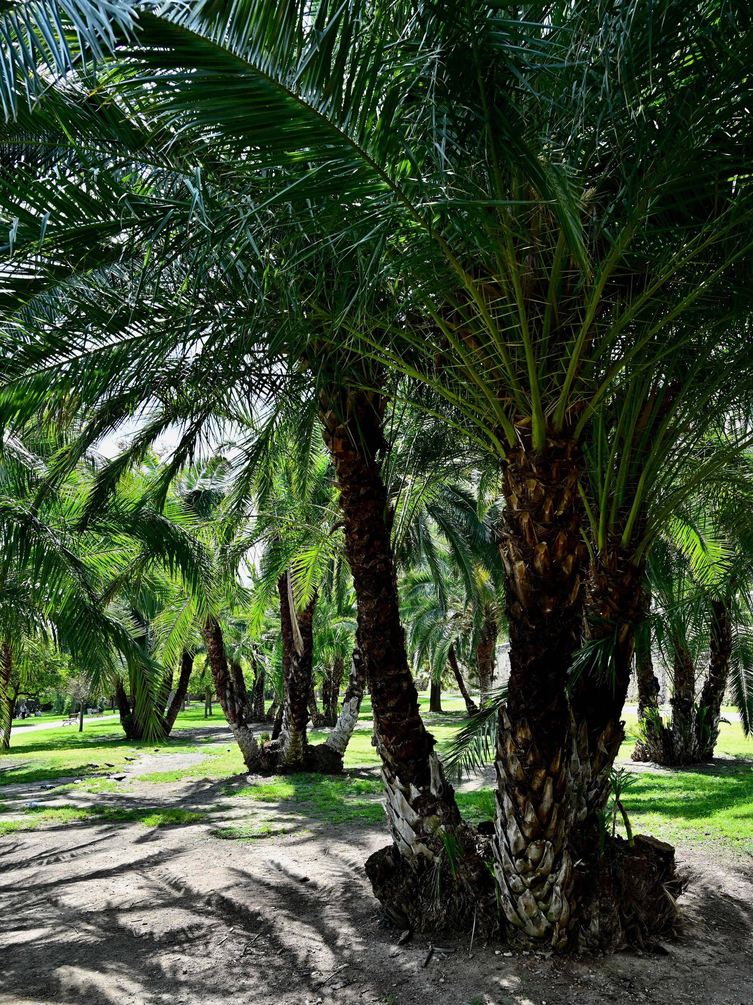 Парки Валенсии. Гид и фотограф в Валенсии Новиков Михаил
