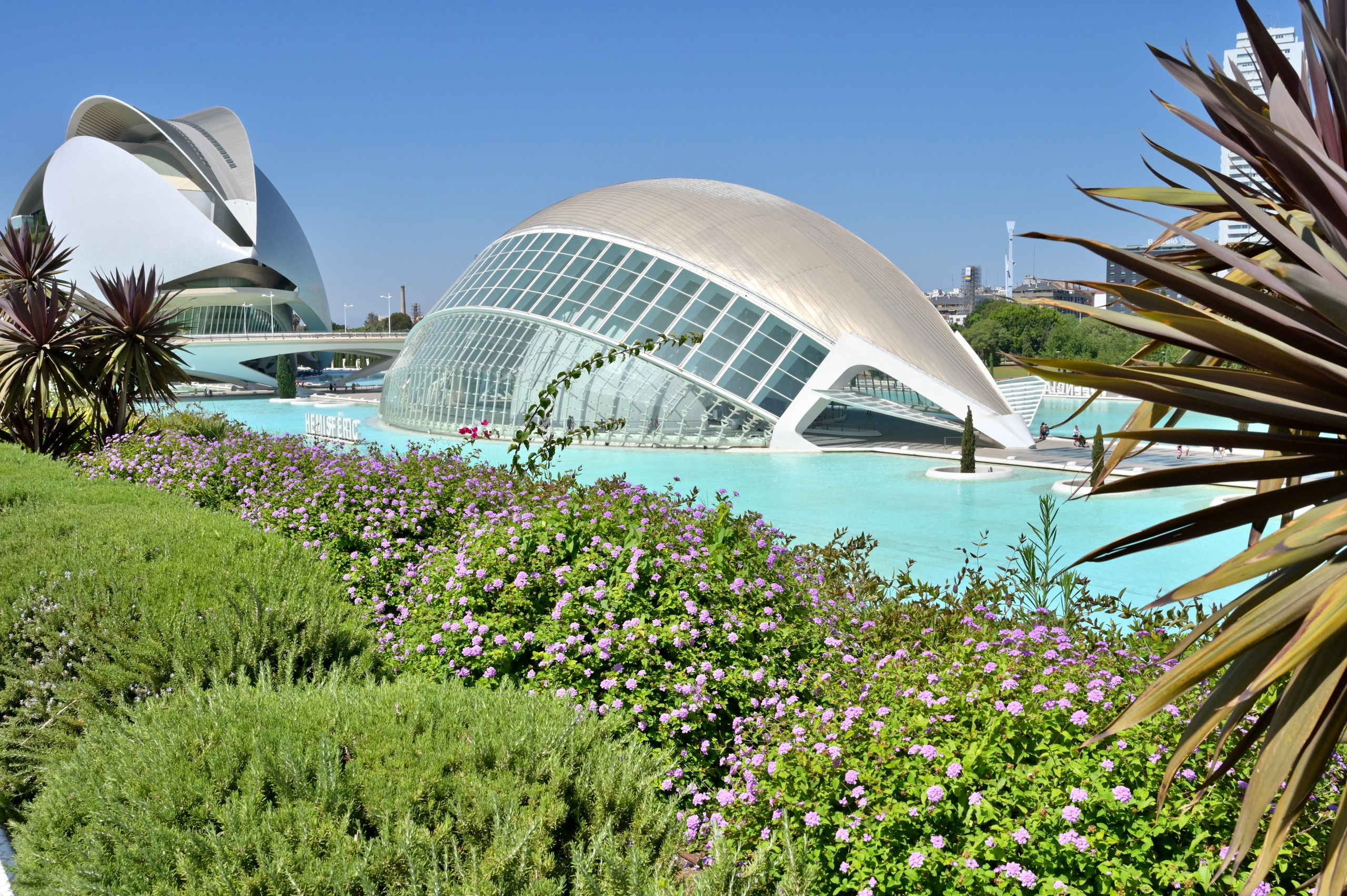 Visita guiada con fotos de la Ciudad de las Artes y las Ciencias. Novikov Mikhail, fotógrafo de Valencia
