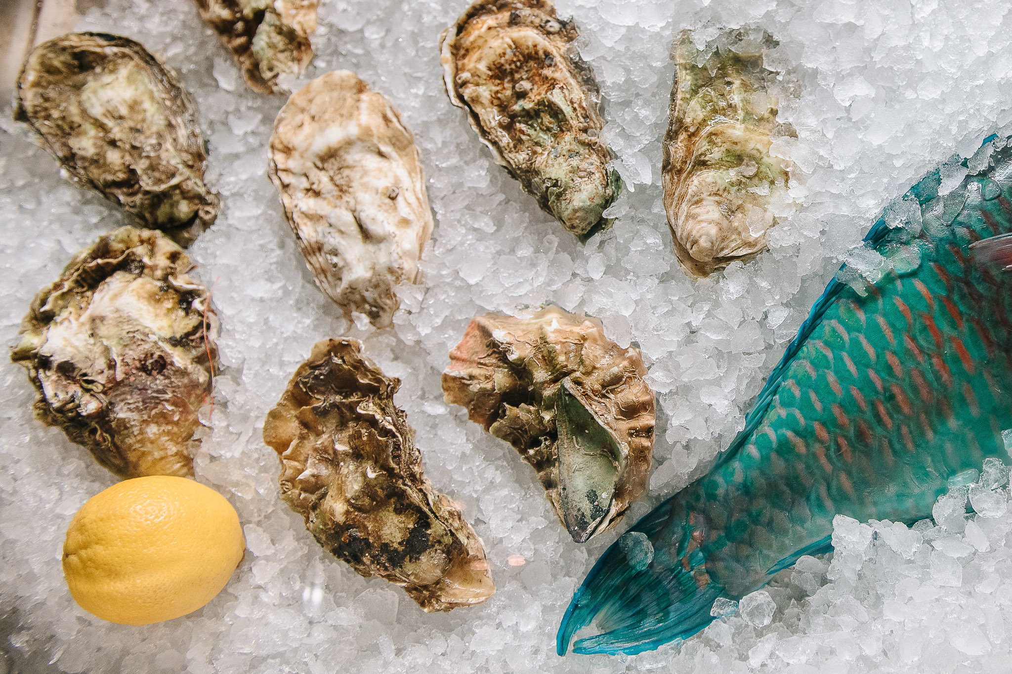 Ресторан Веранда. Бабий бунт. Фотограф Валерия Голубева (Миронова)