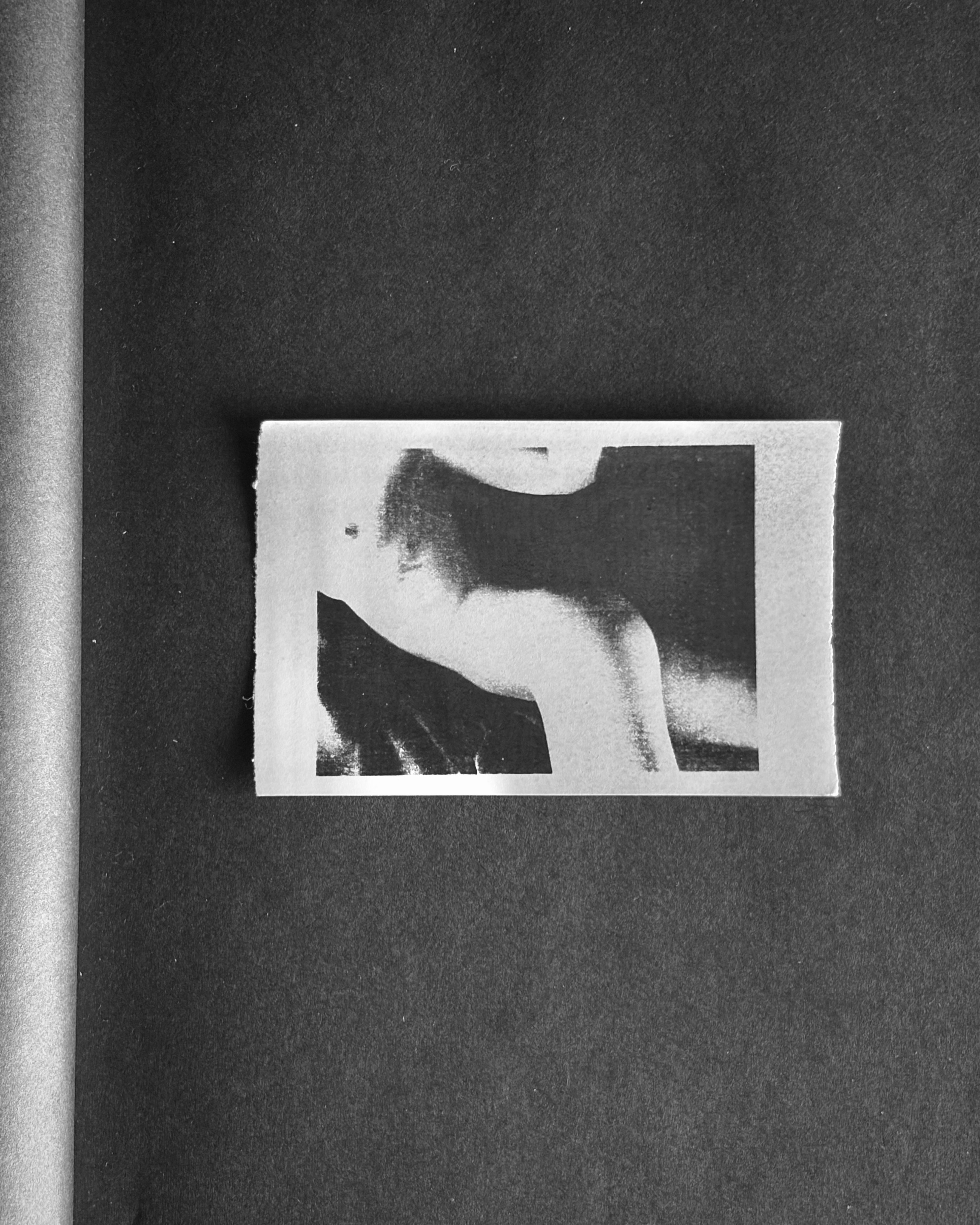 Fade. Художественная фотография. Фотография на плёнку. Илья Вараксин