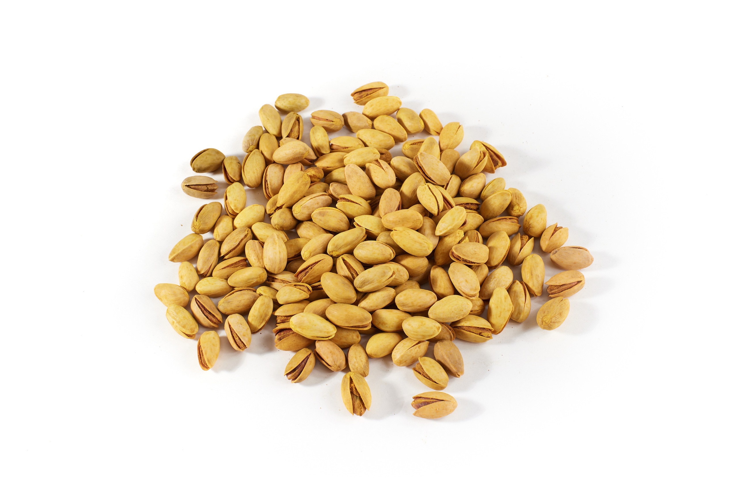 Nut4Life. Фотограф Сергей Бойко Москва