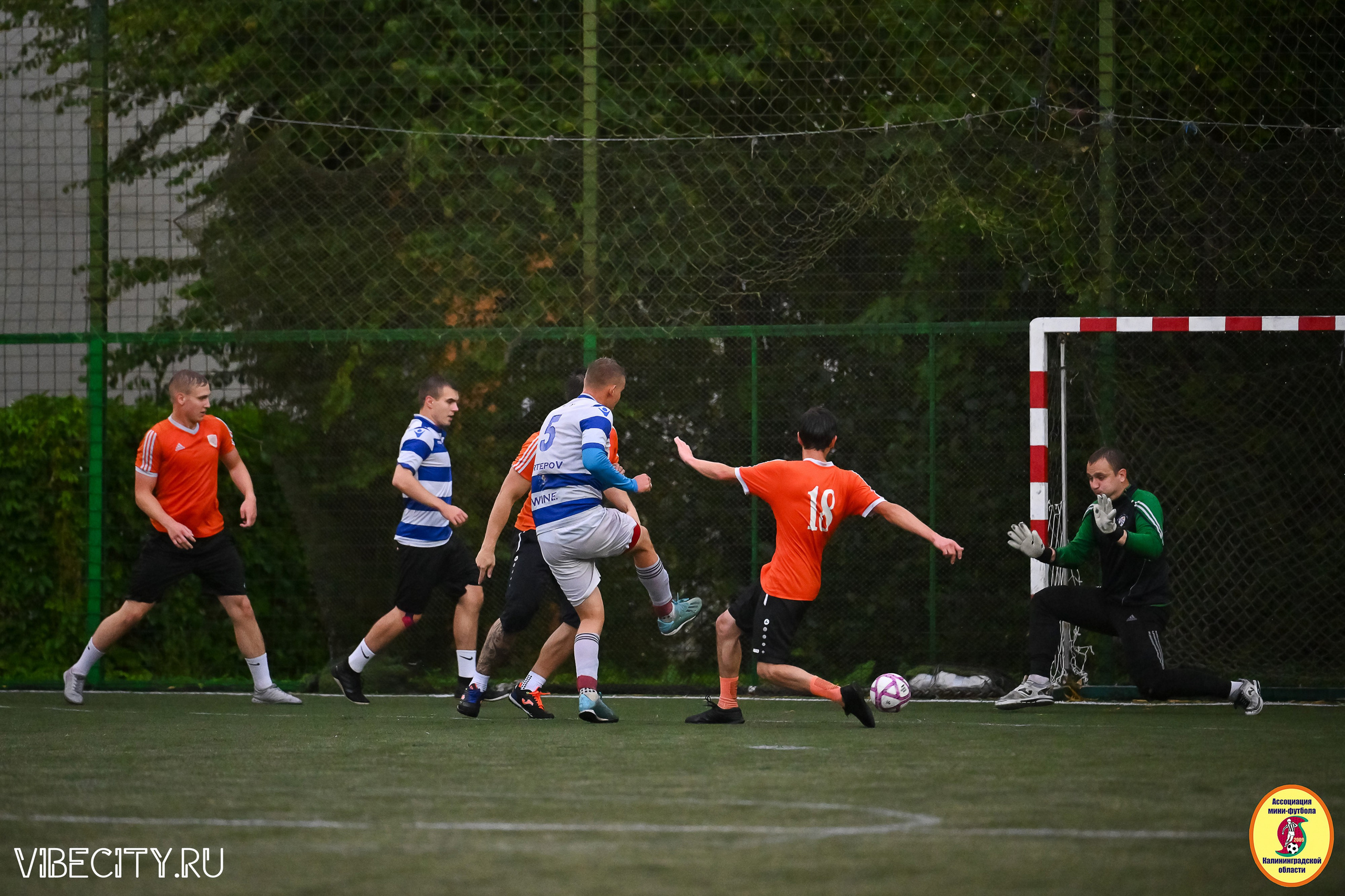 ИГРЫ МИНИ-ФУТБОЛЬНОЙ И КОРПОРАТИВНОЙ ЛИГИ. VIBECITY.RU Вайб Сити Ру Фоторепортажи Фотоотчеты Калининград