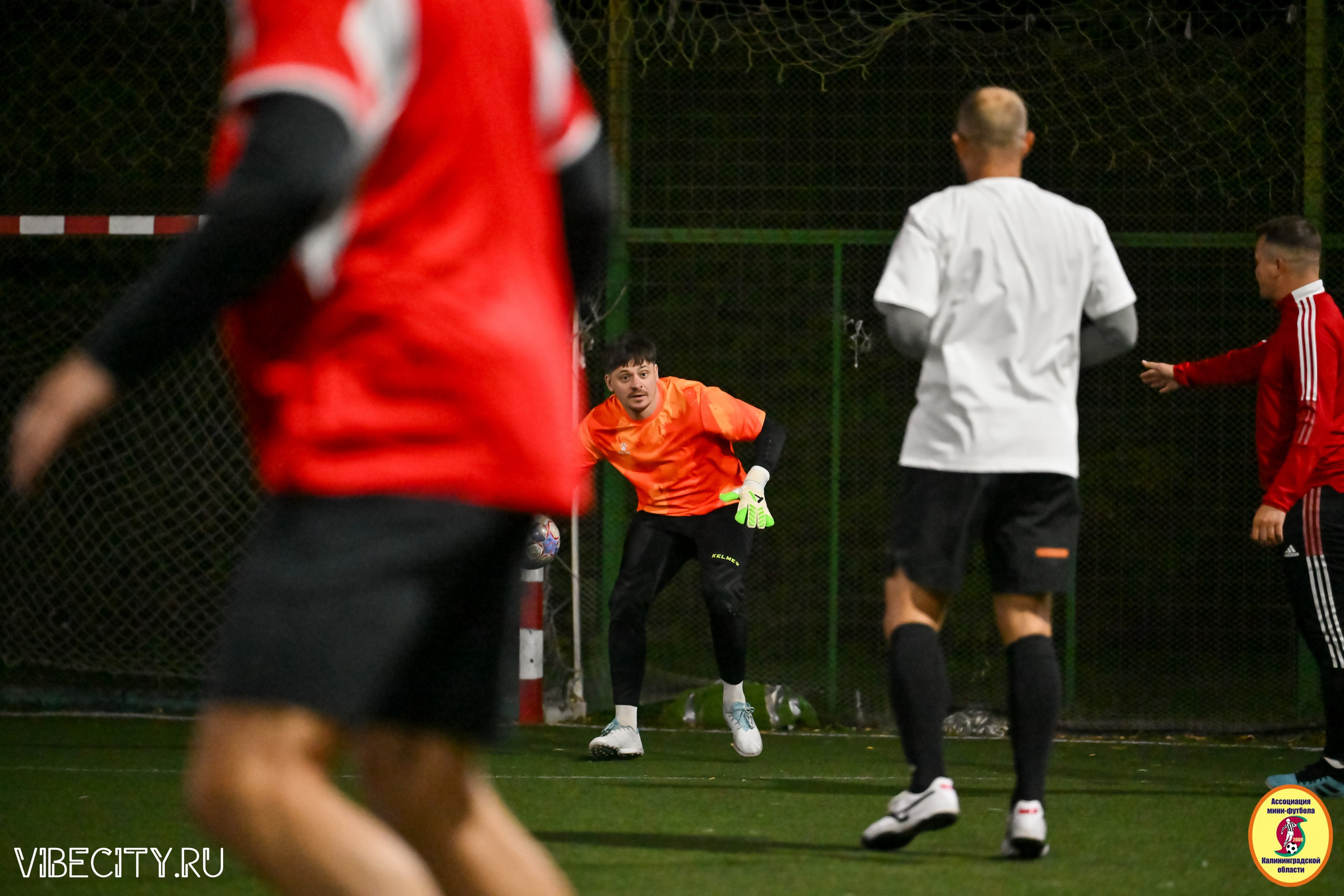 КУБОК ДРУЖБЫ. VIBECITY.RU Вайб Сити Ру Фоторепортажи Фотоотчеты Калининград