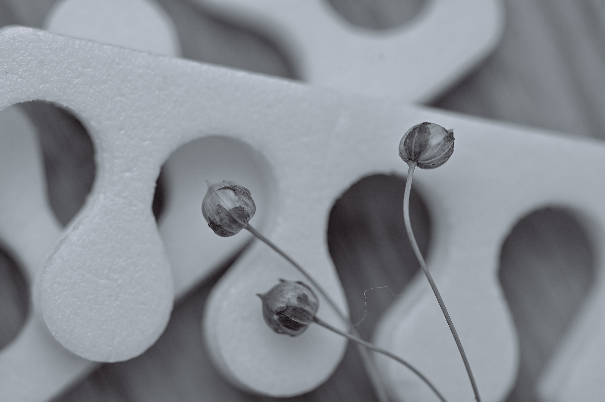 Контентная съёмка для маникюрного салона. Видеооператор и фотограф Таисия Любимова