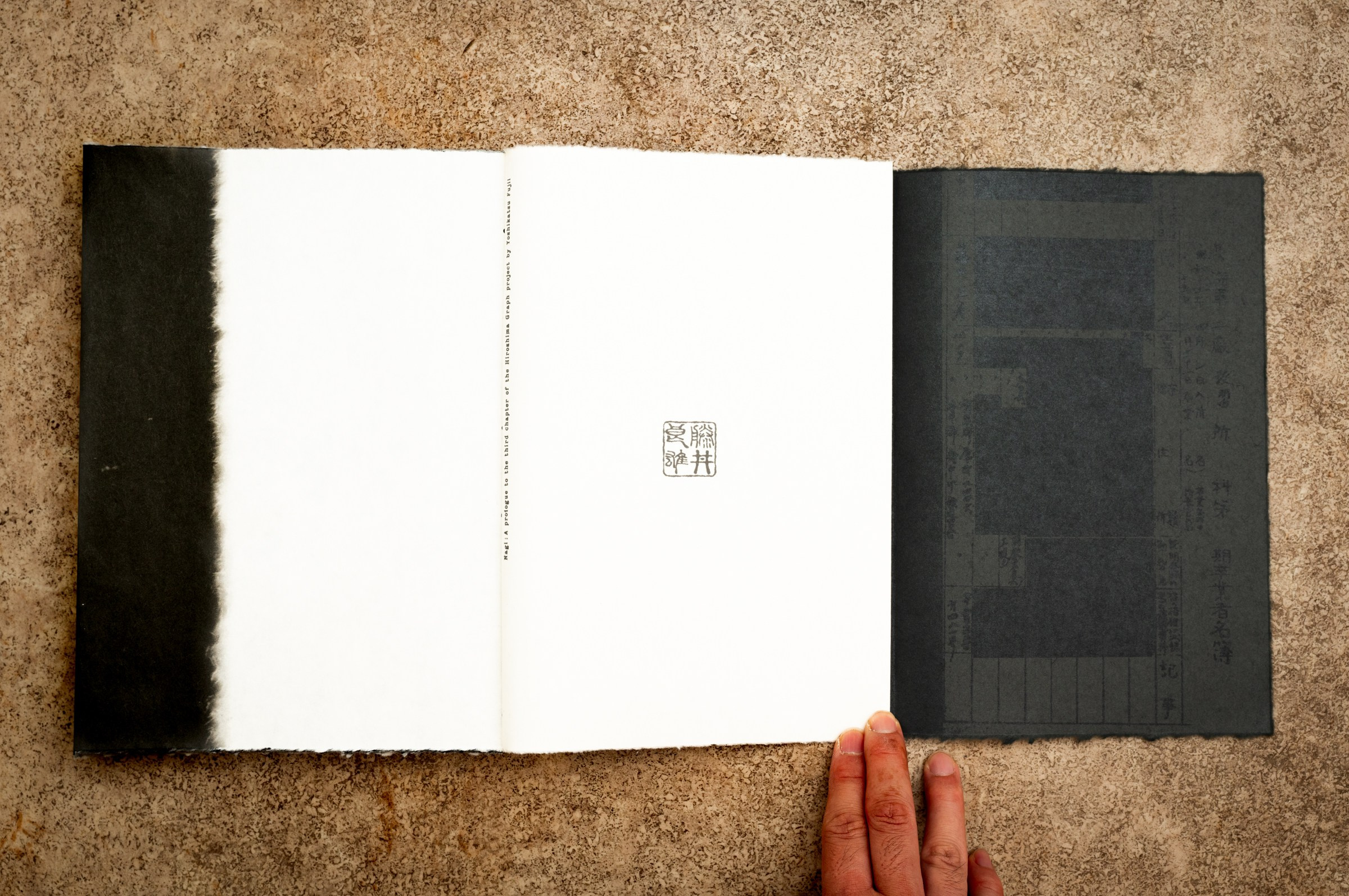 INTERVIEW WITH THE ARTIST: YOSHIKATSU FUJII. Самоорганизация Низина