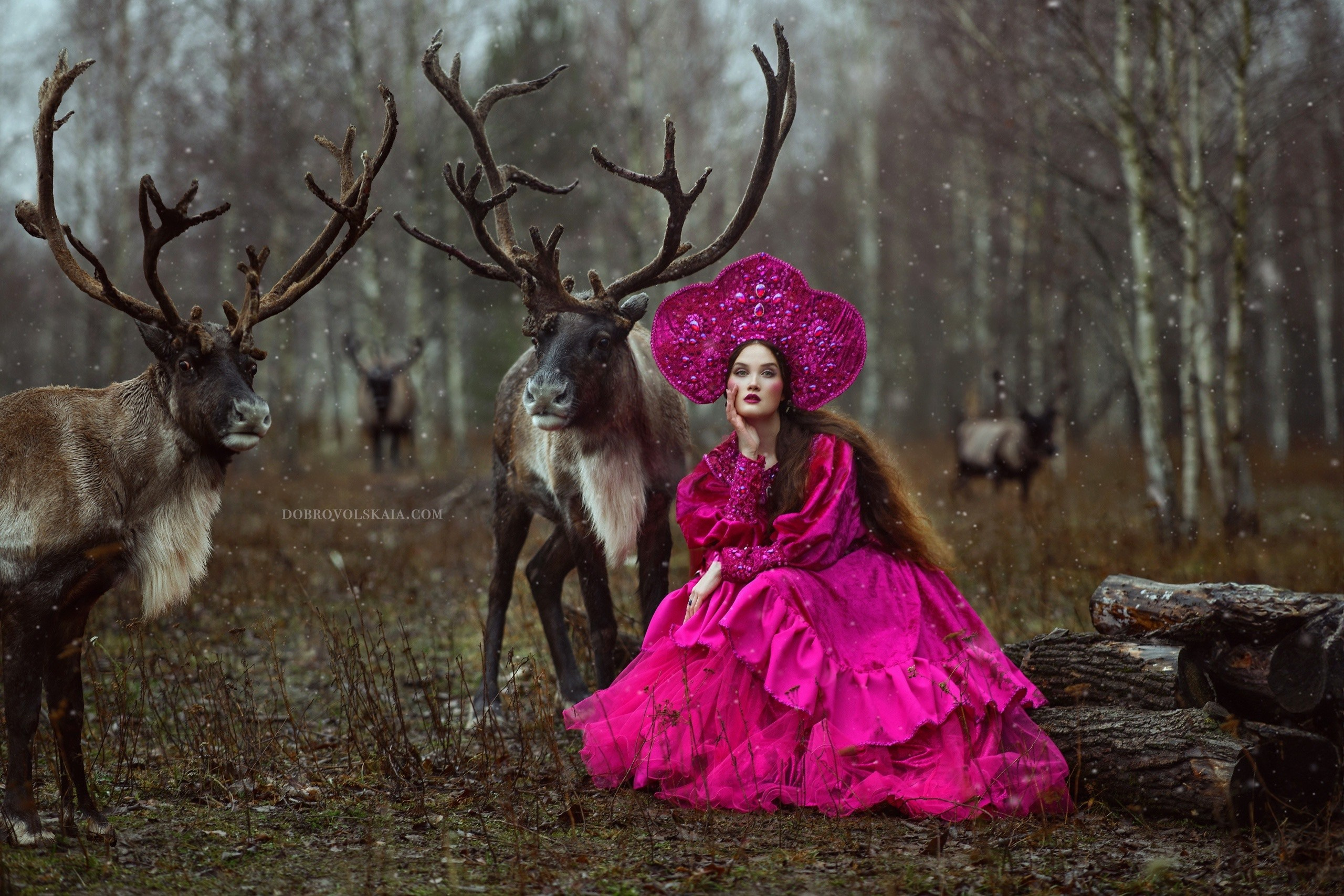 Русская орхидея. Русские народные костюмы в Москве