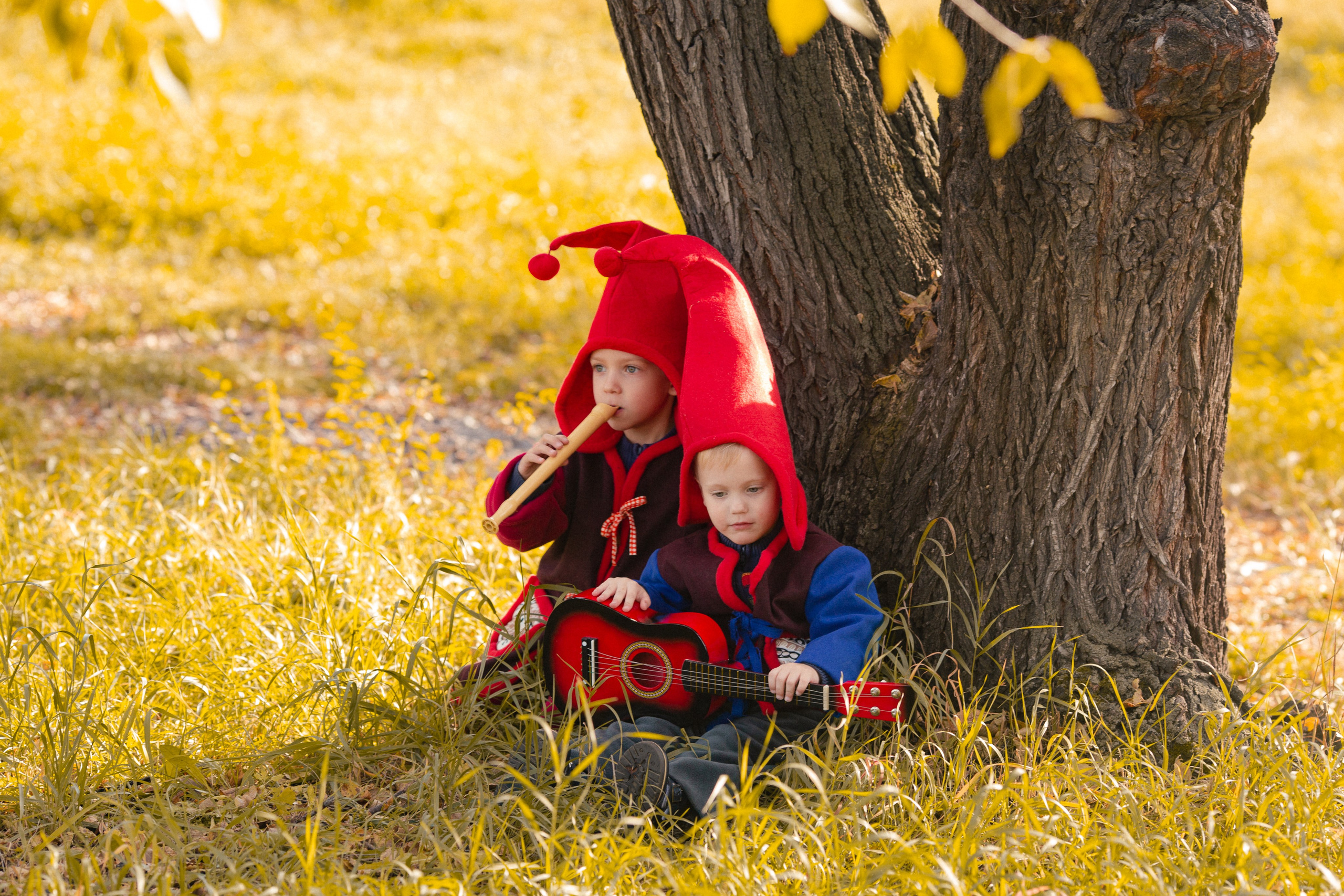 Лесные гномы