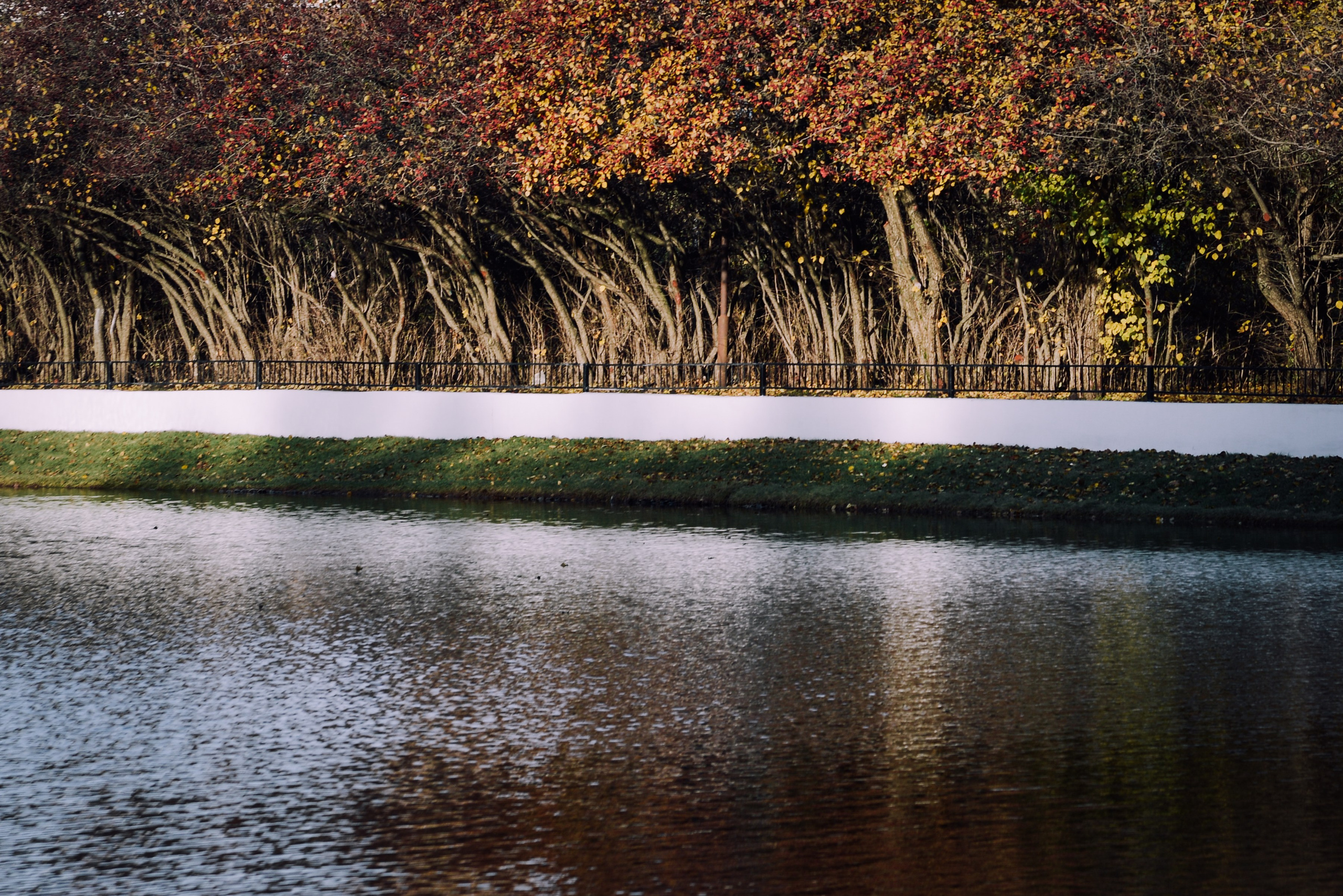 Октябрь в объективе: фотографии осеннего сезона