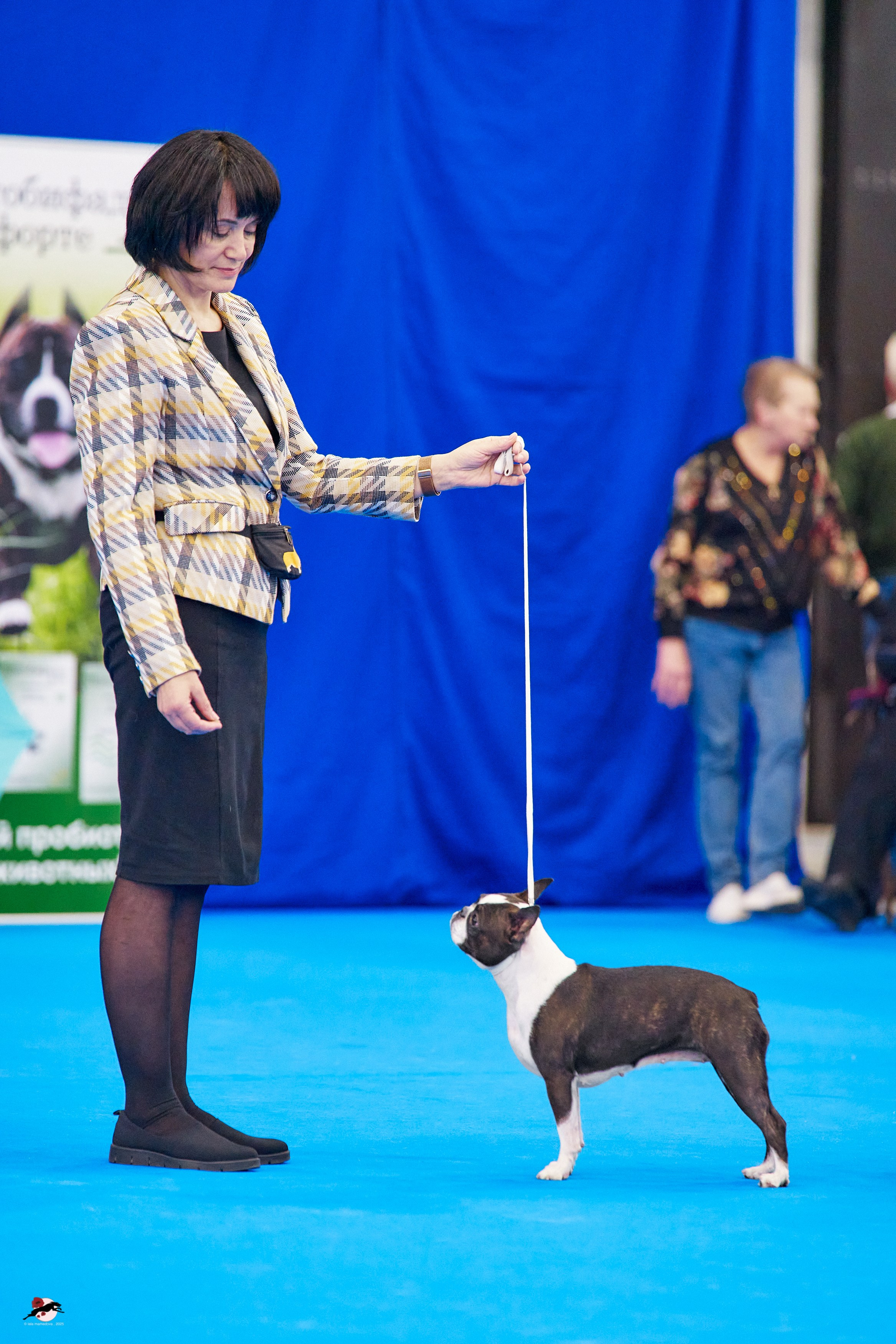 ГРАН ПРИ «ВЕСЕННИЙ ПЕТЕРБУРГ» & «СУПЕР КУБОК «ЭЛИТЫ»-2025»