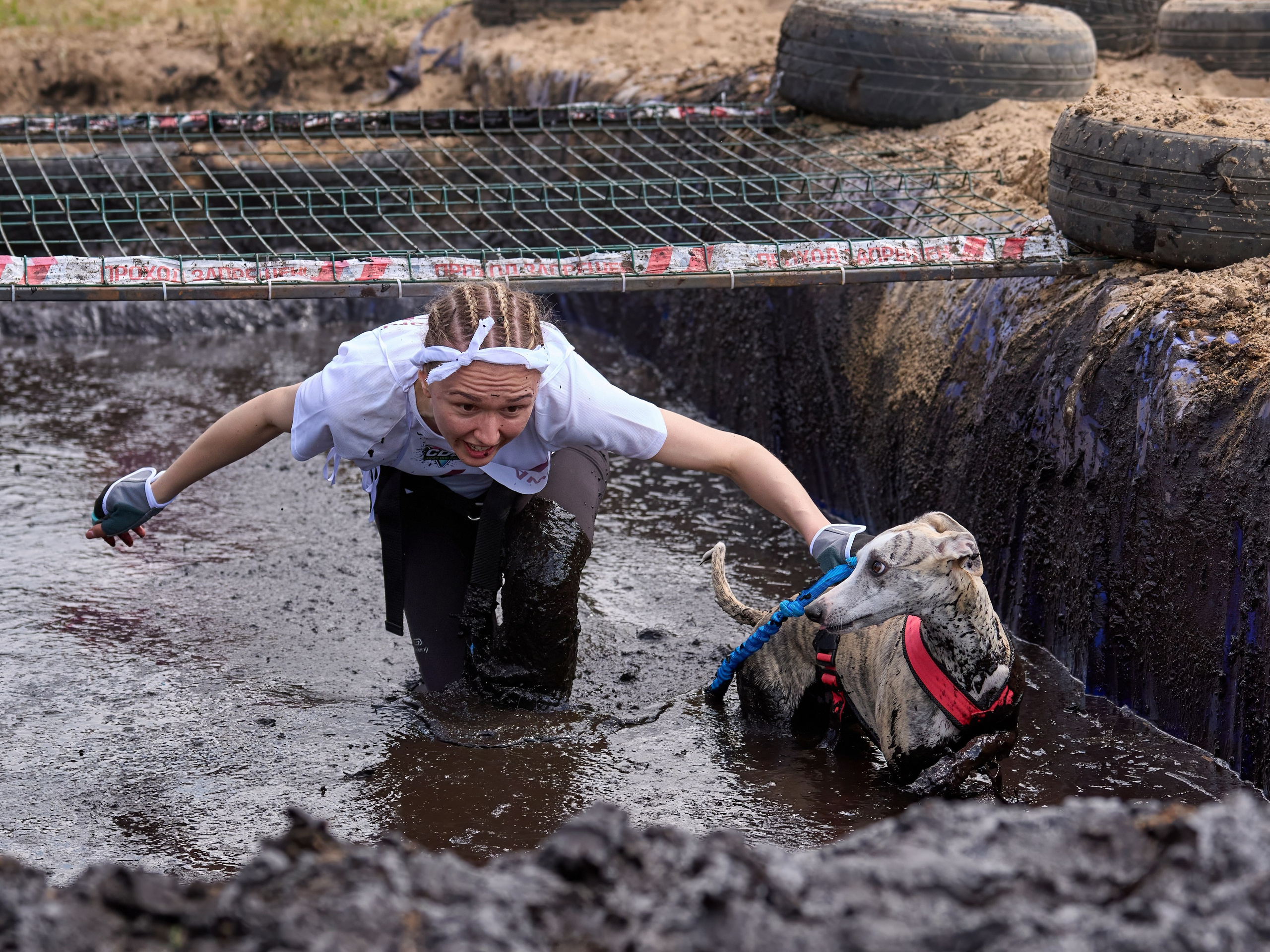Хвостатый драйв — 2024. Фотограф-анималист Михаил Манухин