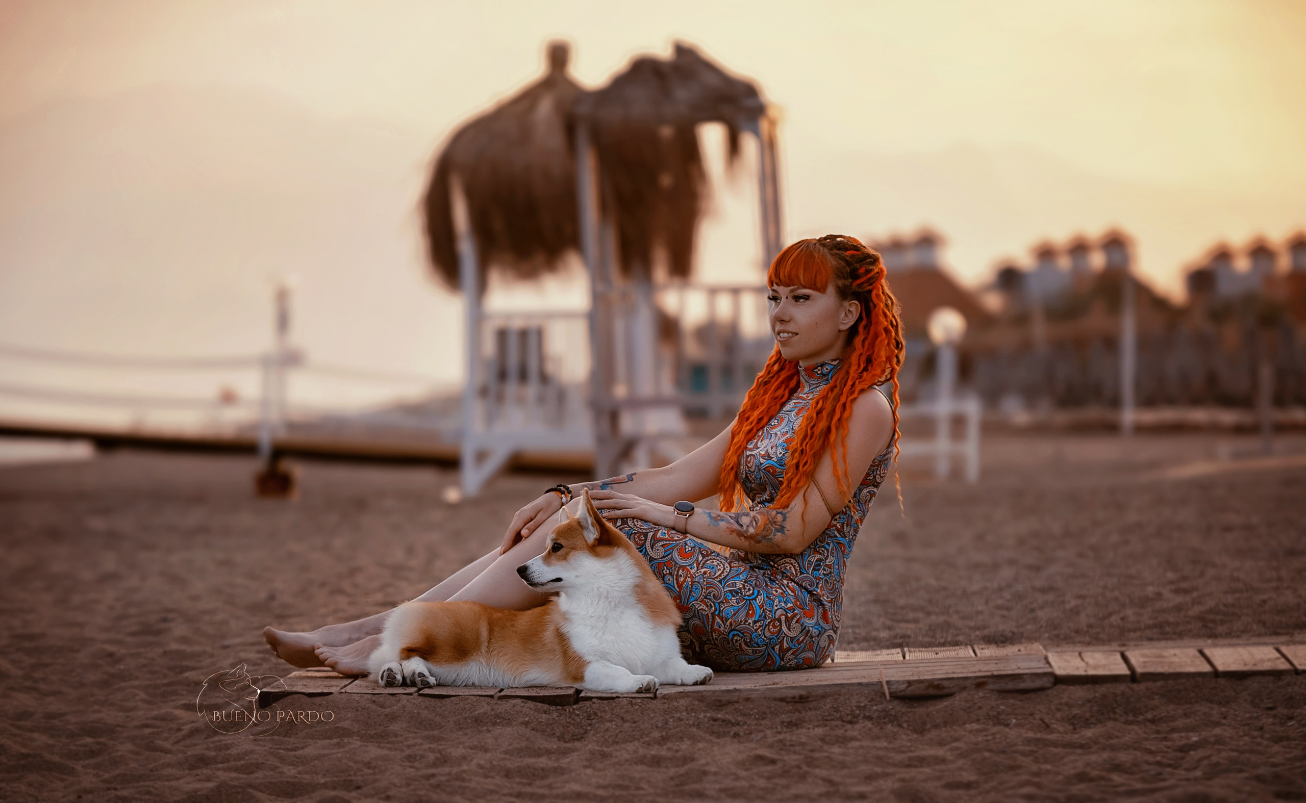 Собаки питомника Bueno Pardo. Питомник собак Акита, Хаски, Корги