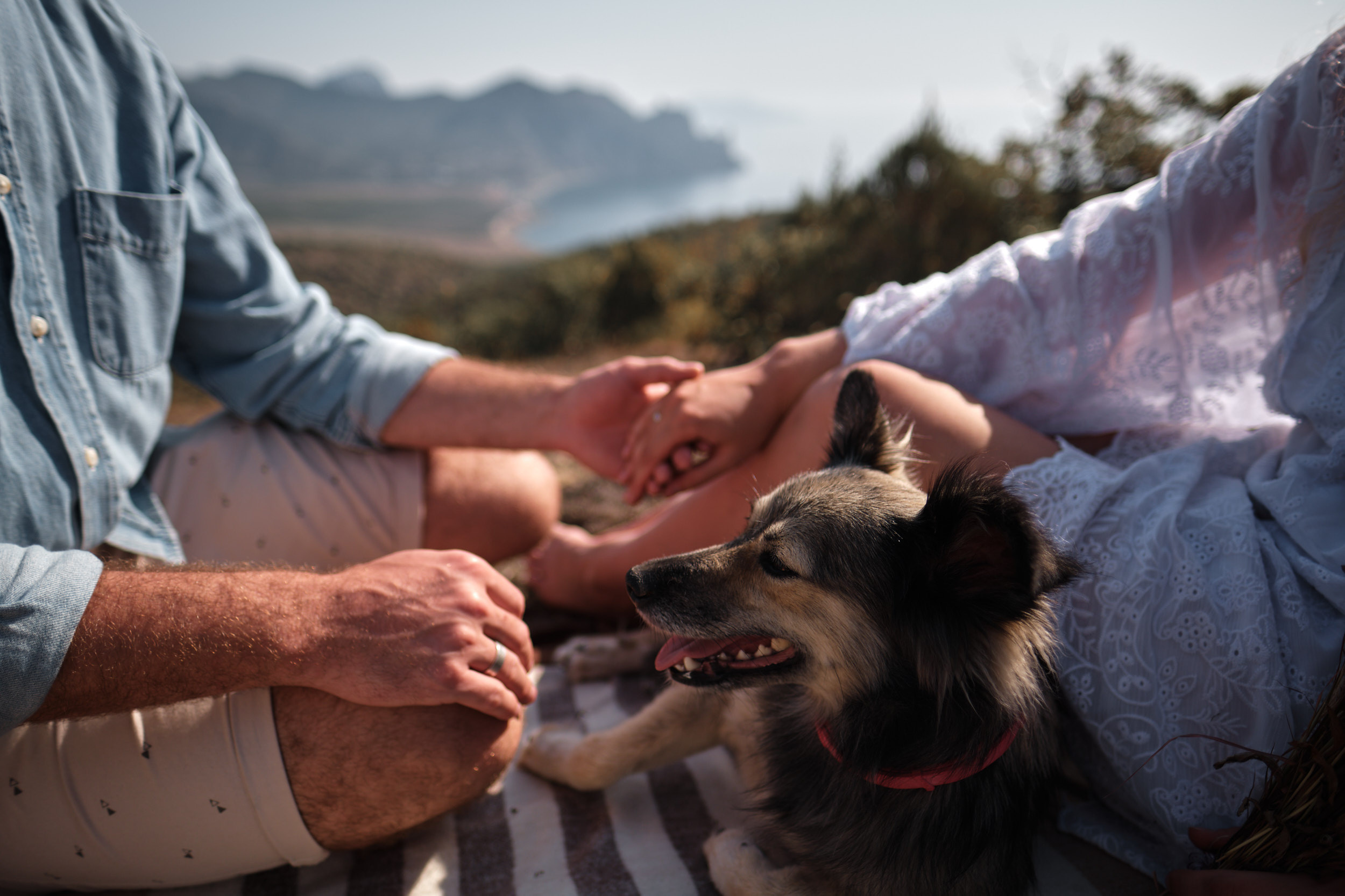 Крымские каникулы 2020. Пикник в горах. Свадебный фотограф, видеограф в Клину, Москве, Зеленограде, Калабушкин