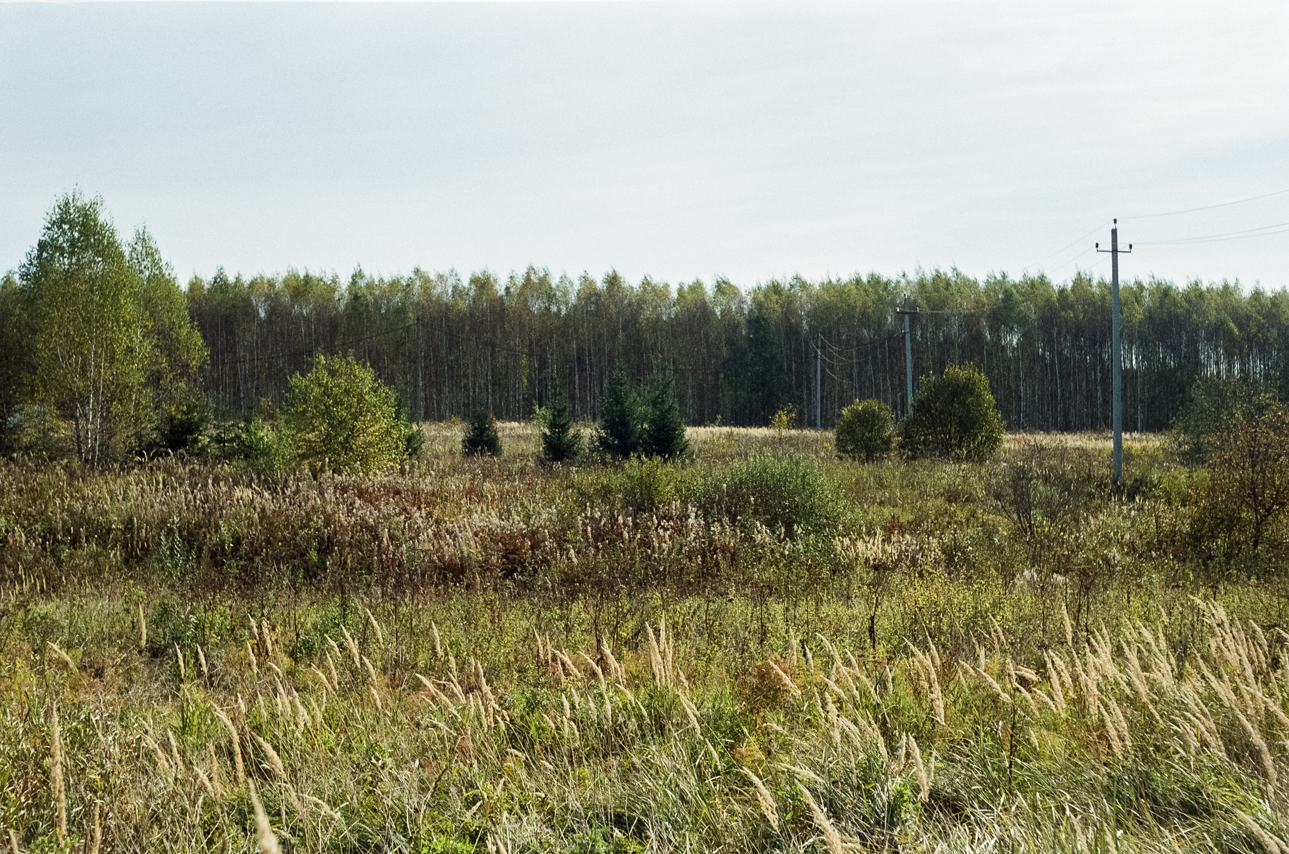 Voigtlander Vitessa / Color-Skopar 50 mm f/3.5 / Kodak Gold 100 (просрочка)
