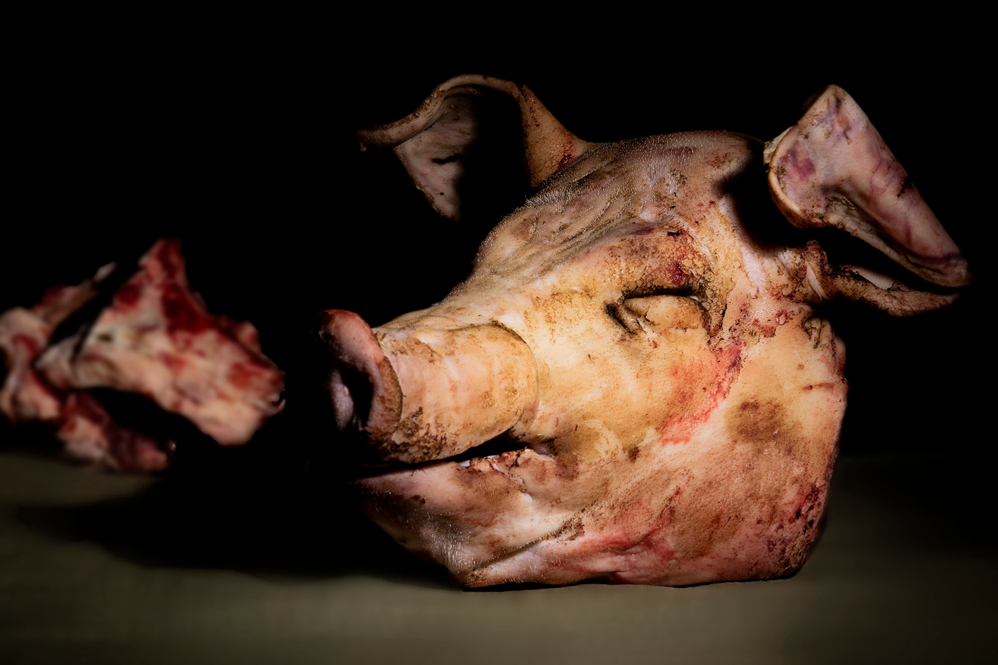 Проекты. Sakunov Photo