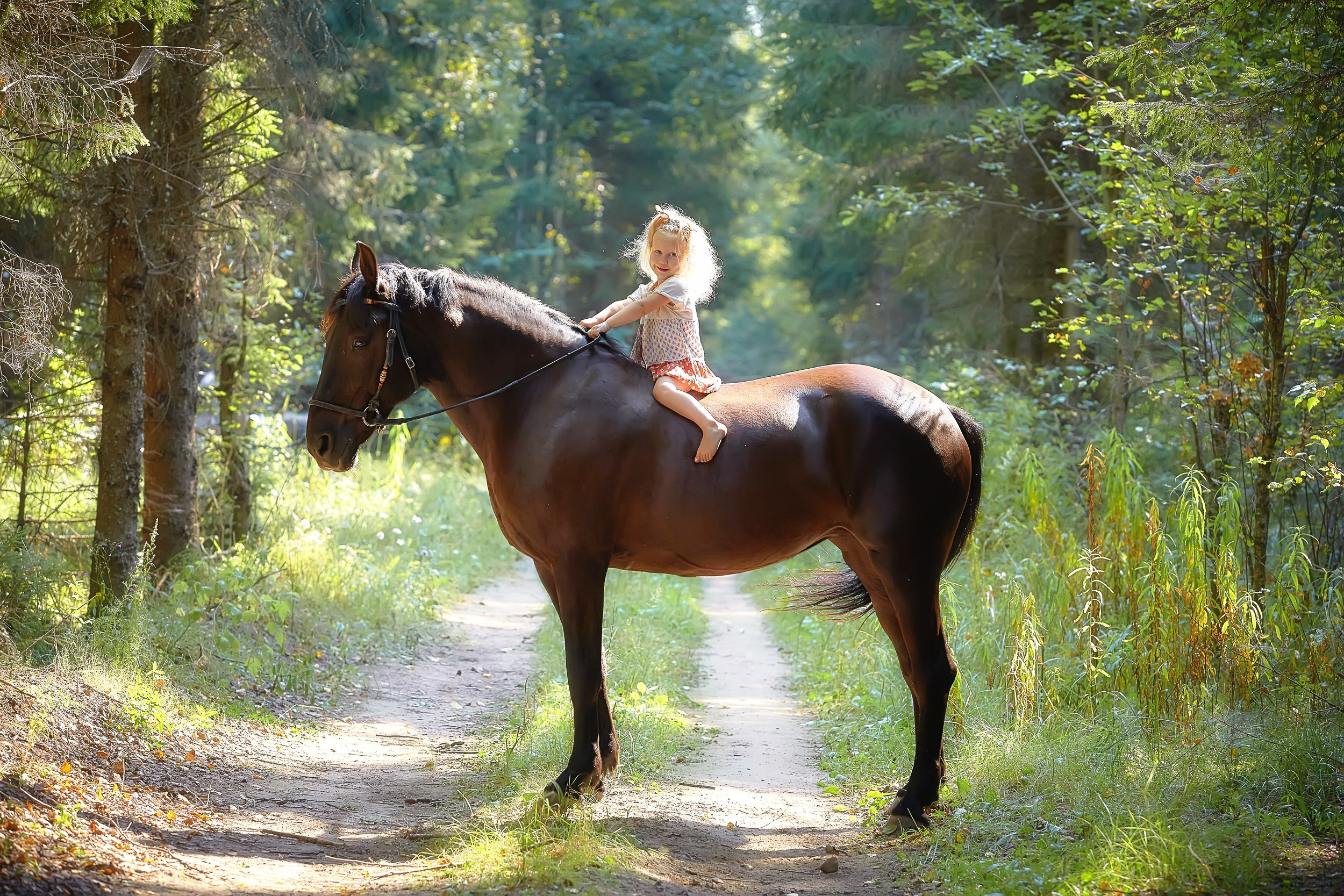 Фотосессия с лошадьми Фотограф Михаил Семенов, г. Ярославль