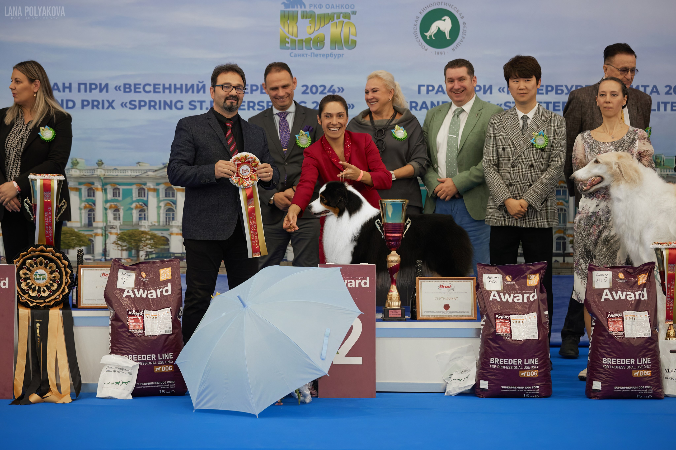 NDS GRAND PRIX «SPRING PETERSBURG 2024» «ELITE-PETERSBURG 2024». ФОТОГРАФ-АНИМАЛИСТ l LANA POLYAKOVA