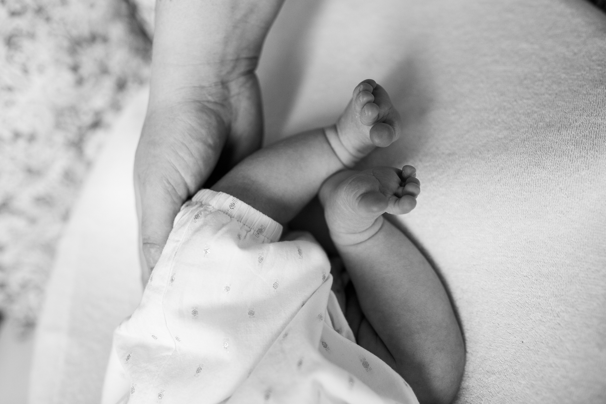 Семейный фотограф Юлия Роберт. Москва