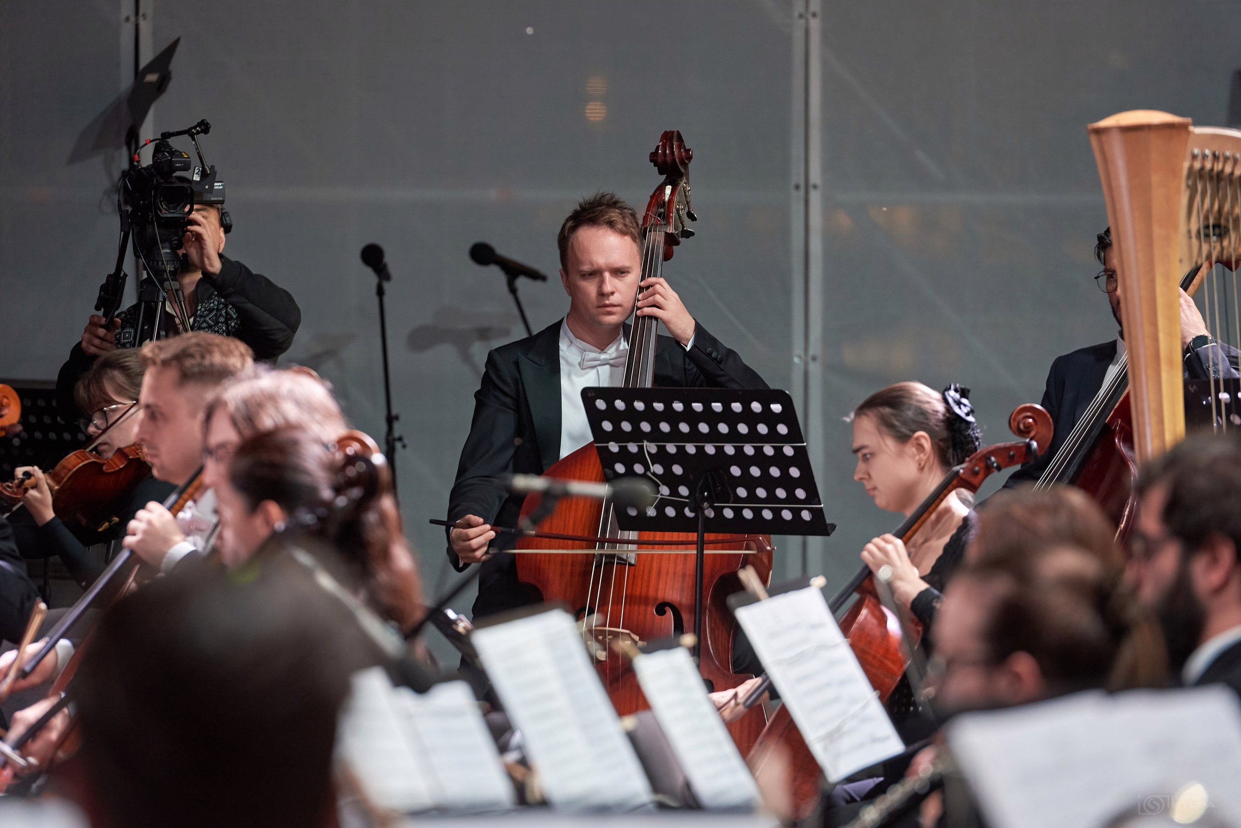 Ночь Музыки в Гатчине 2025. Иван Ступа, репортажный фотограф в Санкт-Петербурге и Ленинградской области