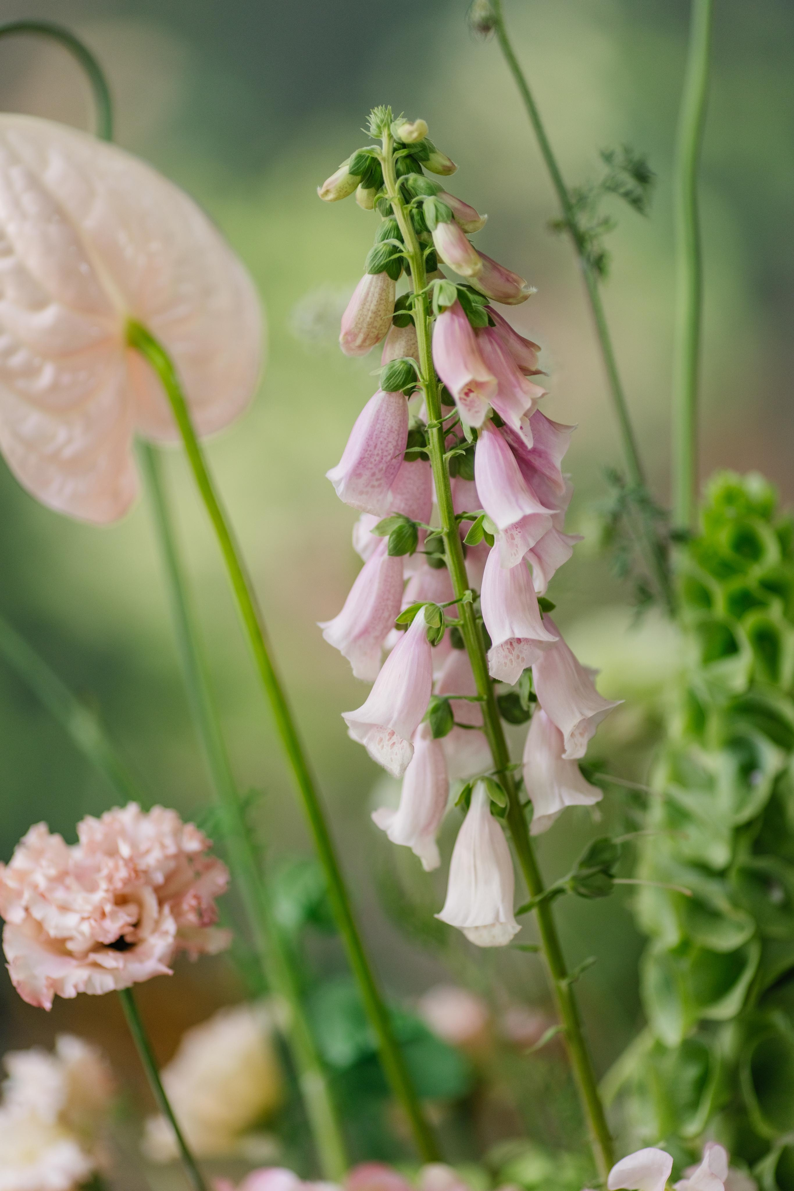 Съемка декора. Репортажный фотограф Ольга Кочетова в Москве