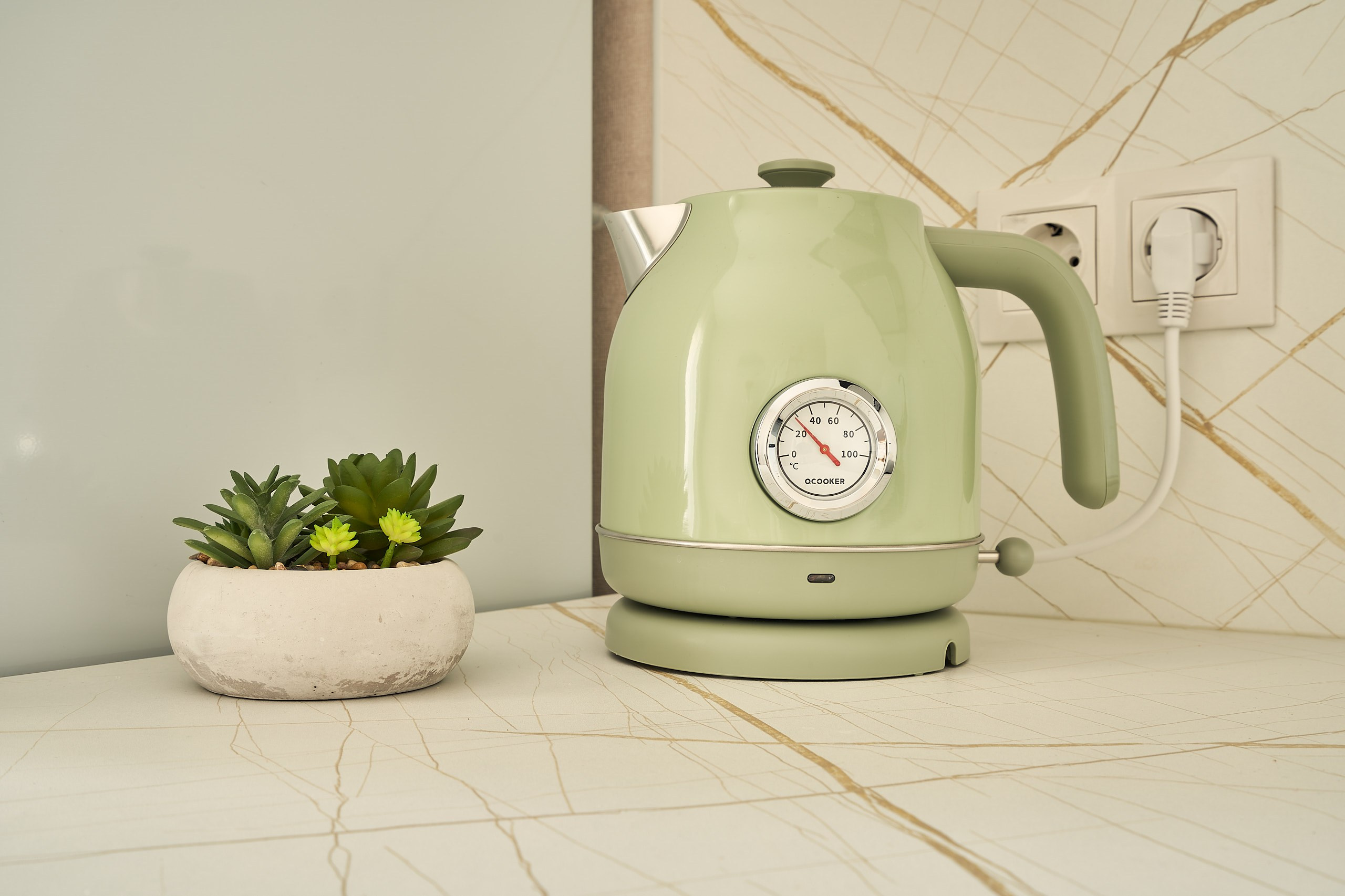 Интерьерное фото кухни, ЖК Новая Рига, детальный план, чайник и растение