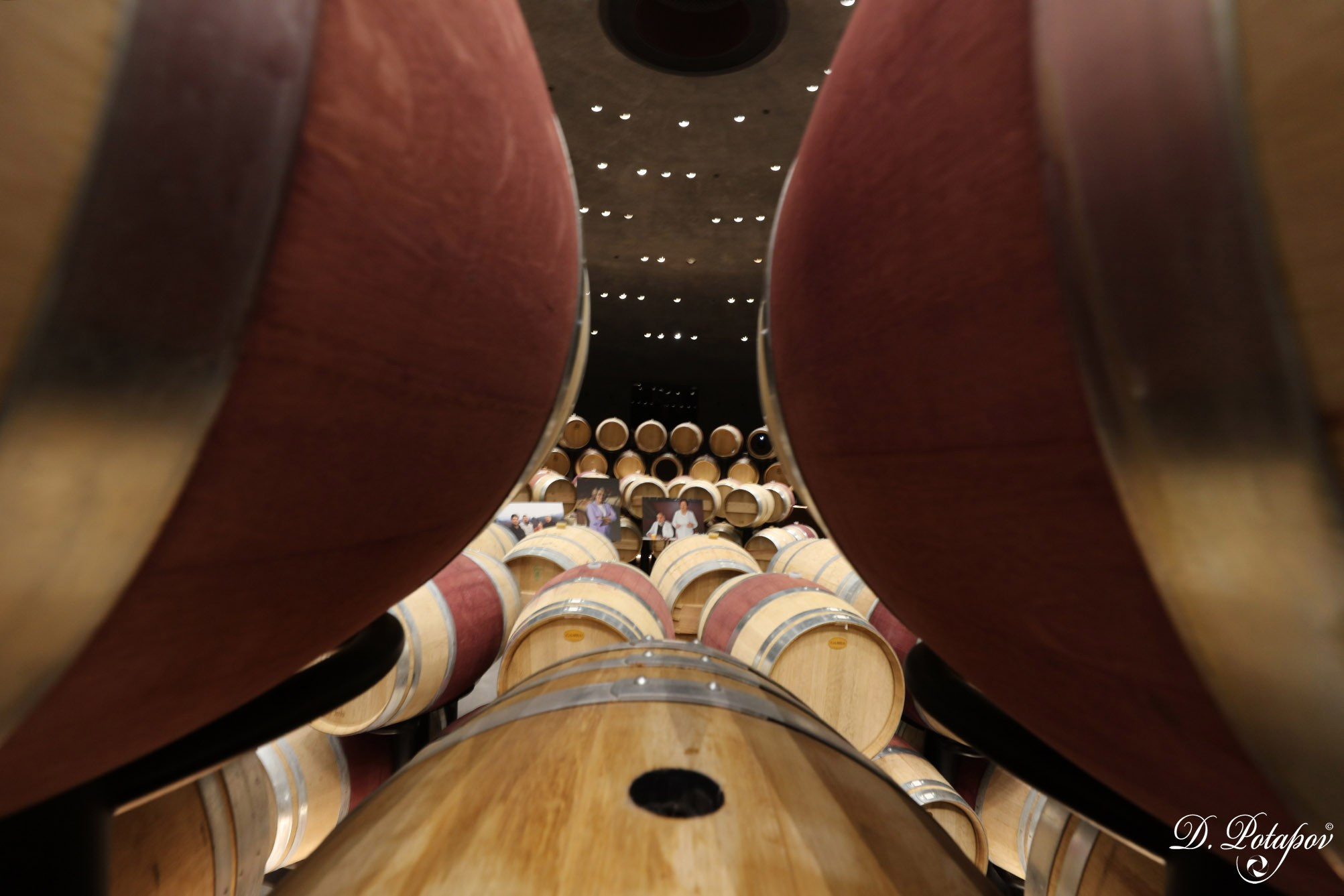 Винный парк (WINEPARK). Московский фотограф Дмитрий Потапов